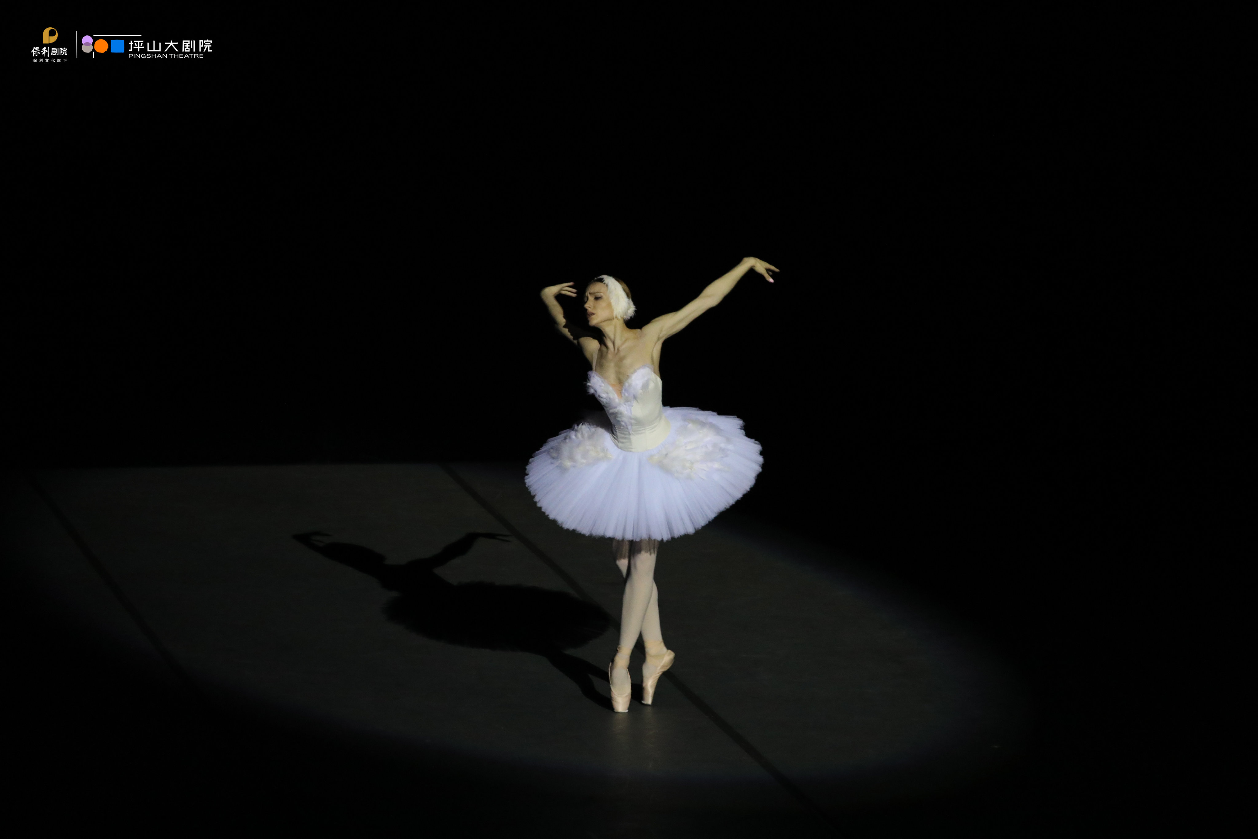 Bolshoi principal dancer Yulia Stepanova dances The Swan in Shenzhen on May 14.
Photo: Zhan Jiangjuan/Pingshan Theatre