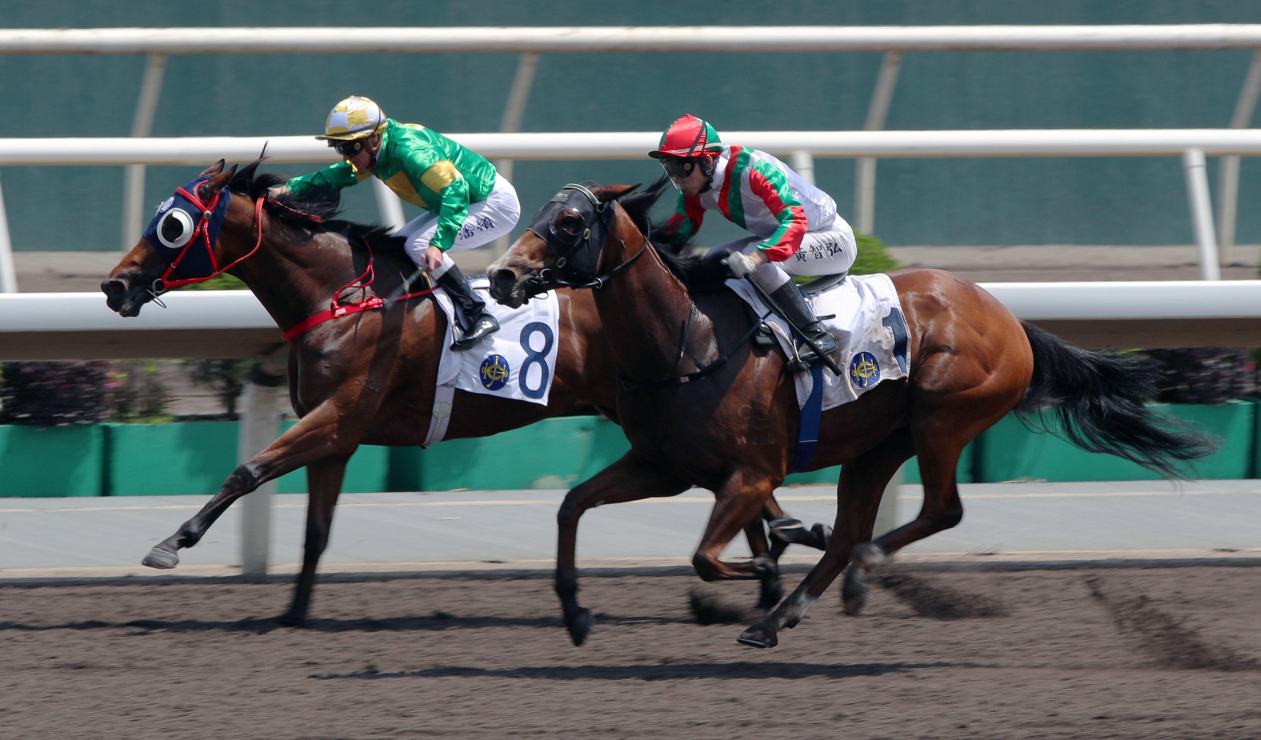 Ellis Wong lifts Solid Shalaa (outside) to a narrow victory last start. Photos: Kenneth Chan