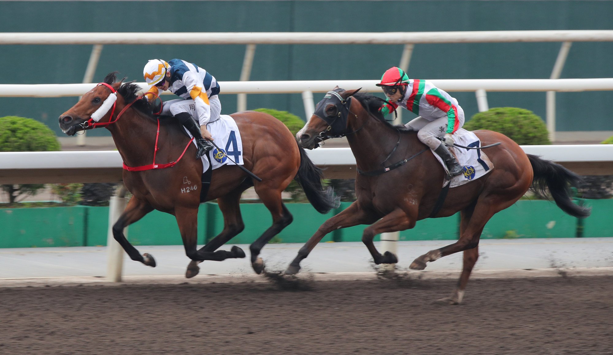 Solid Shalaa (outside) chases down Packing Bole to score. Solid Shalaa (outside) chases down Packing Bole to score.