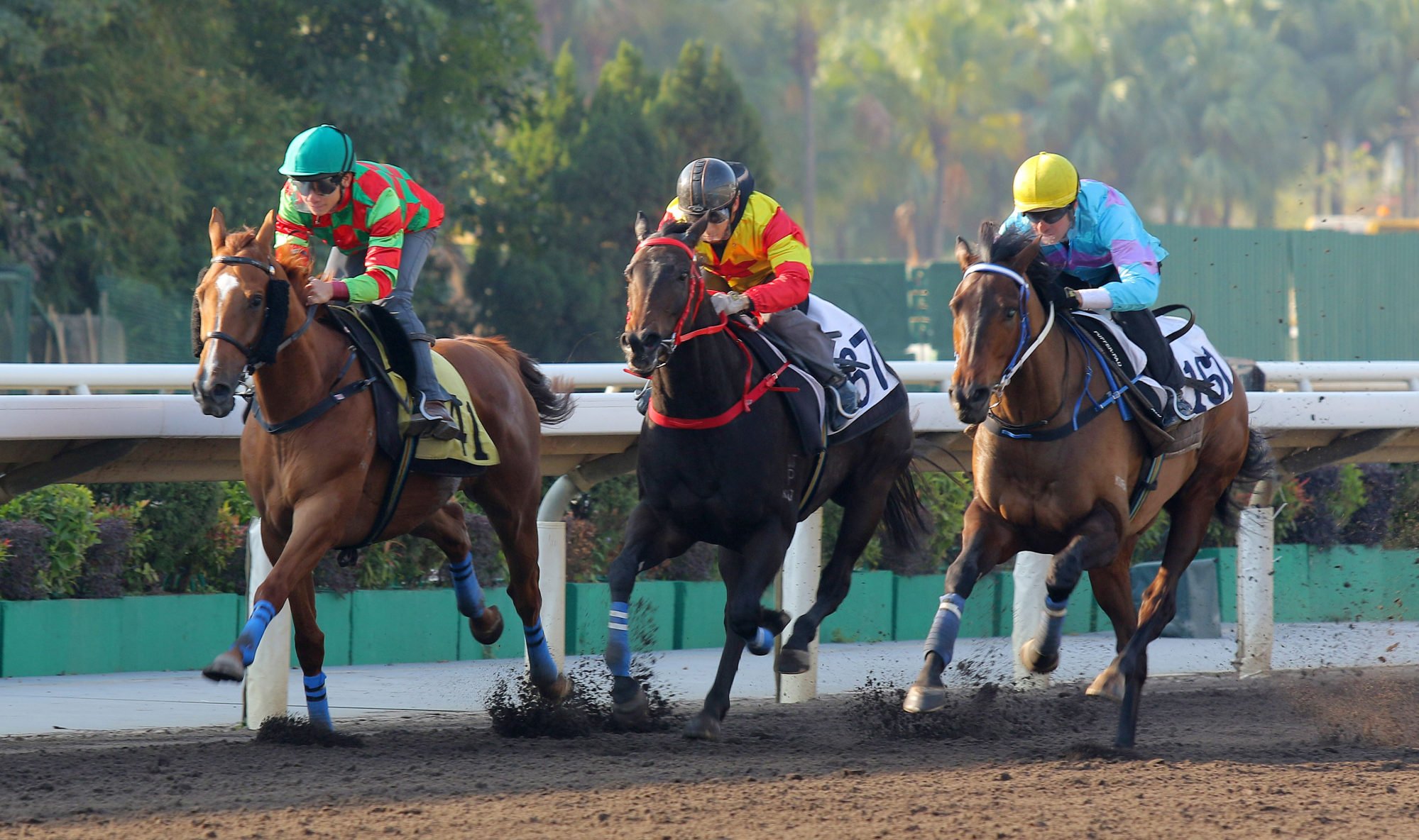 Savvy Twinkle (centre) trials at Sha Tin back in December.