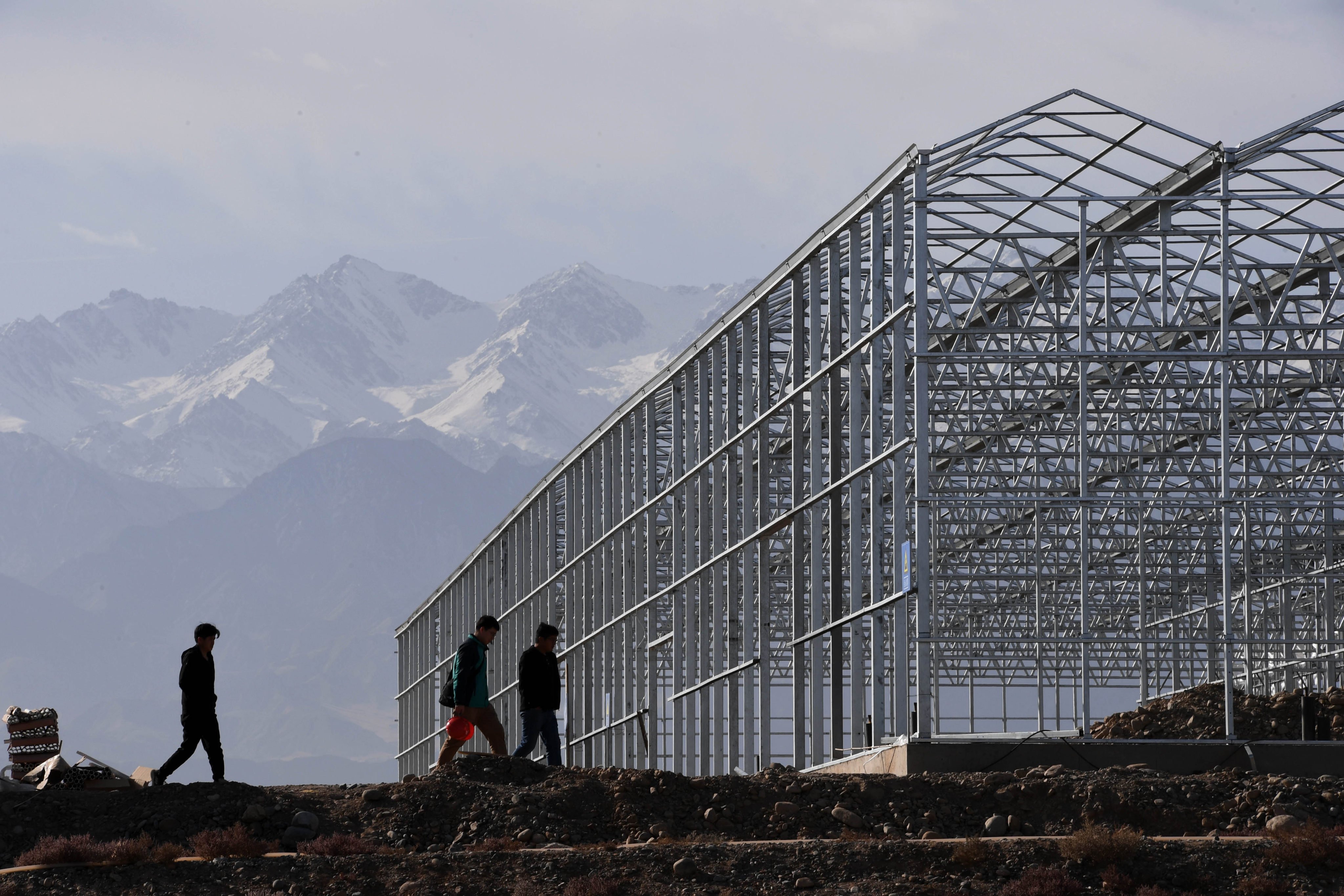 China’s expertise in desert farming will be applied to the United Arab Emirates with the construction of a new agricultural technology centre. Photo: Xinhua