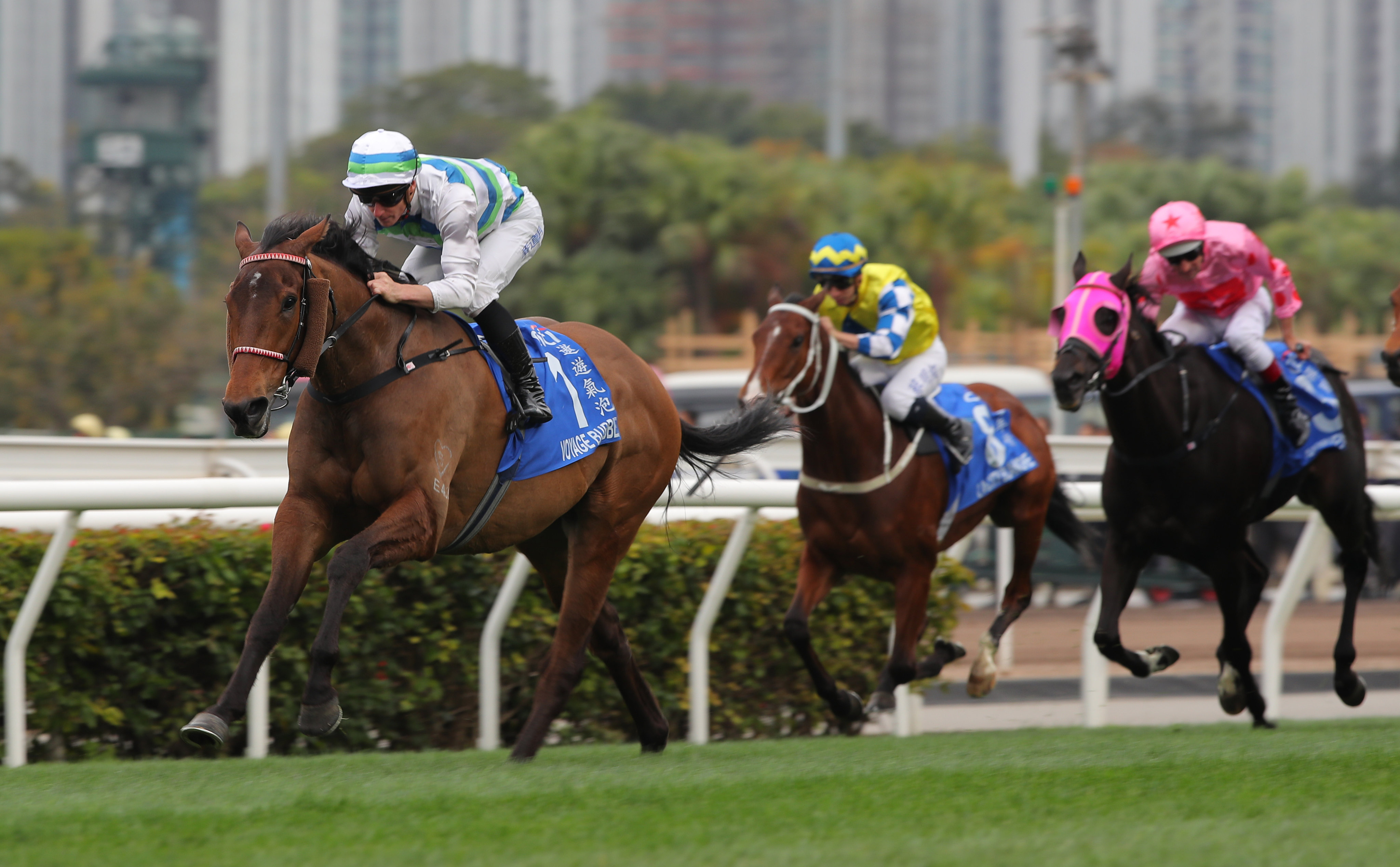 Voyage Bubble leaves his rivals in his wake in the Gold Cup. Photos: Kenneth Chan