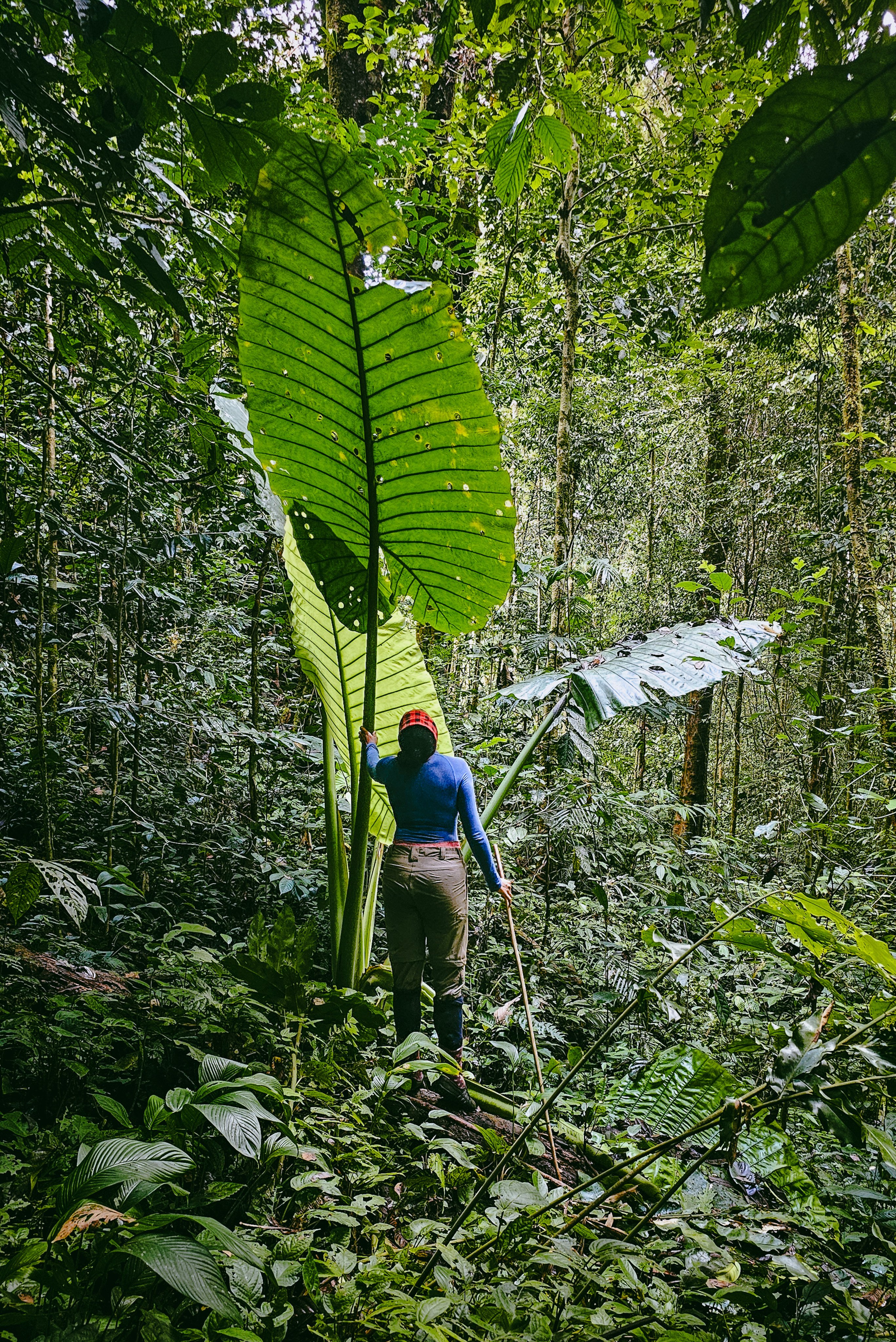 Writer Esslin Terrighena in the jungle. Photo: courtesy Esslin Terrighena