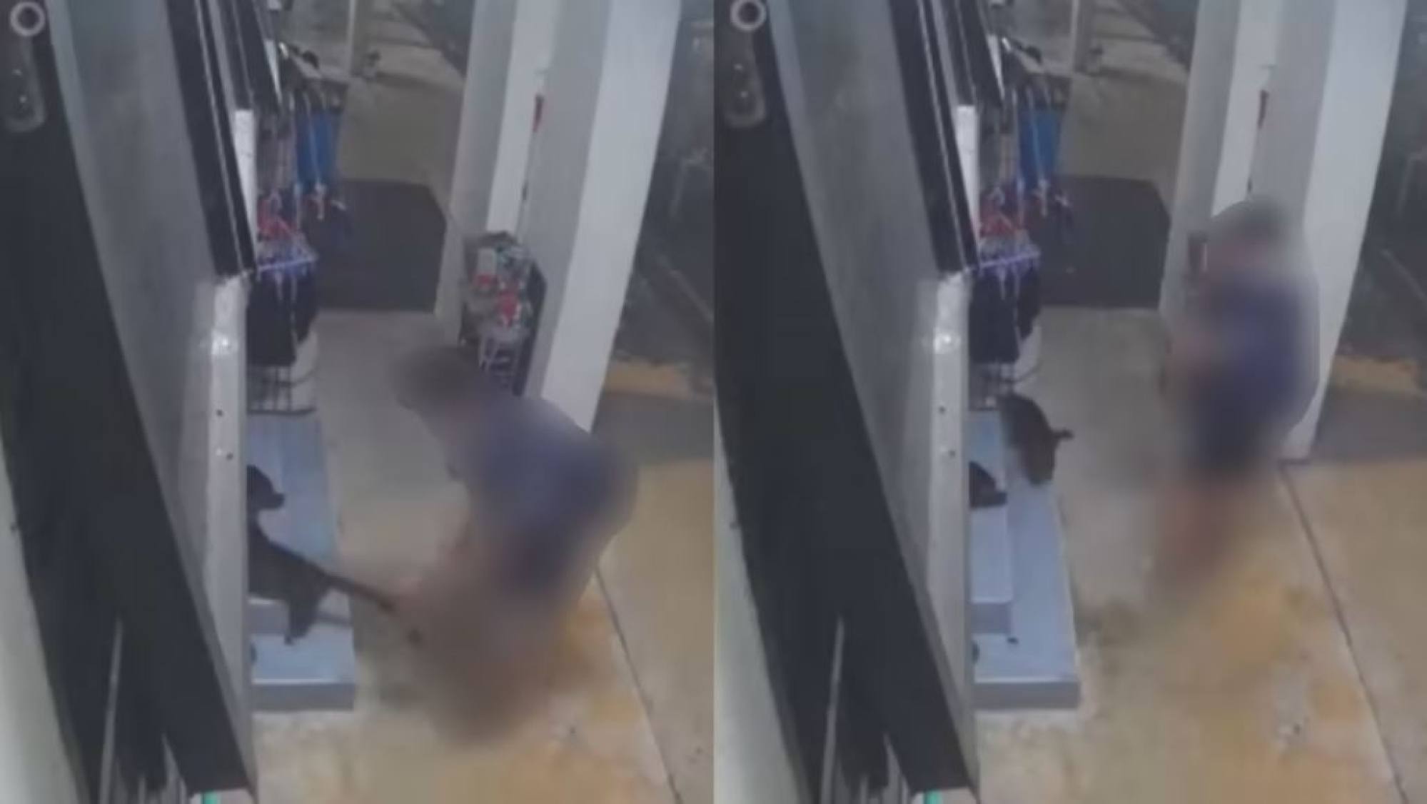 Screengrabs from a video showing a man picking up a cat as it tries to crawl away. Photo: Facebook/Sayang Our Singapore’s Community Cats Screengrabs from a video showing a man picking up a cat as it tries to crawl away. Photo: Facebook/Sayang Our Singapore’s Community Cats