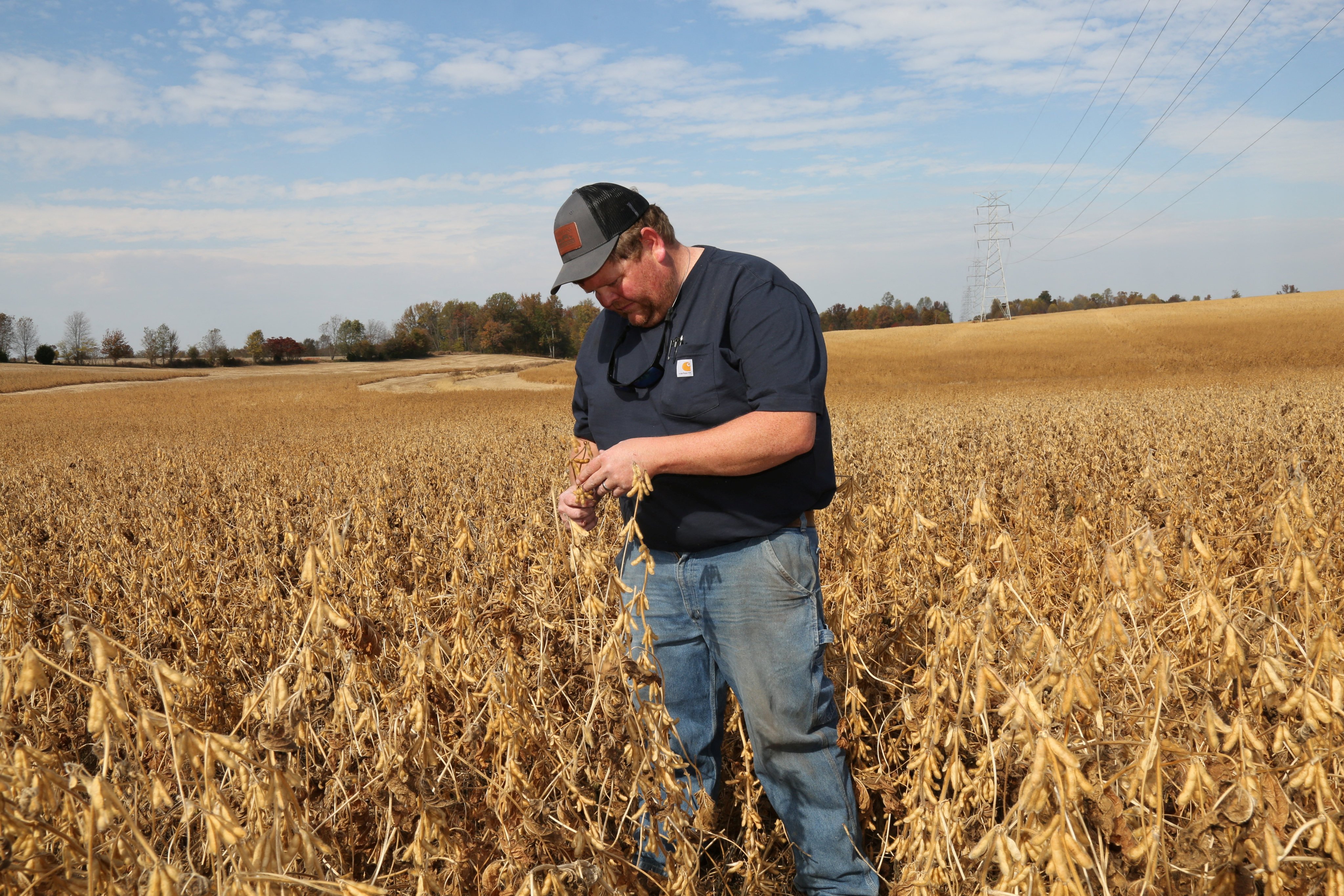 China has long been a key export market for US farmers, with America exporting more than US$12.8 billion of soybeans to the country last year. Photo: Reuters