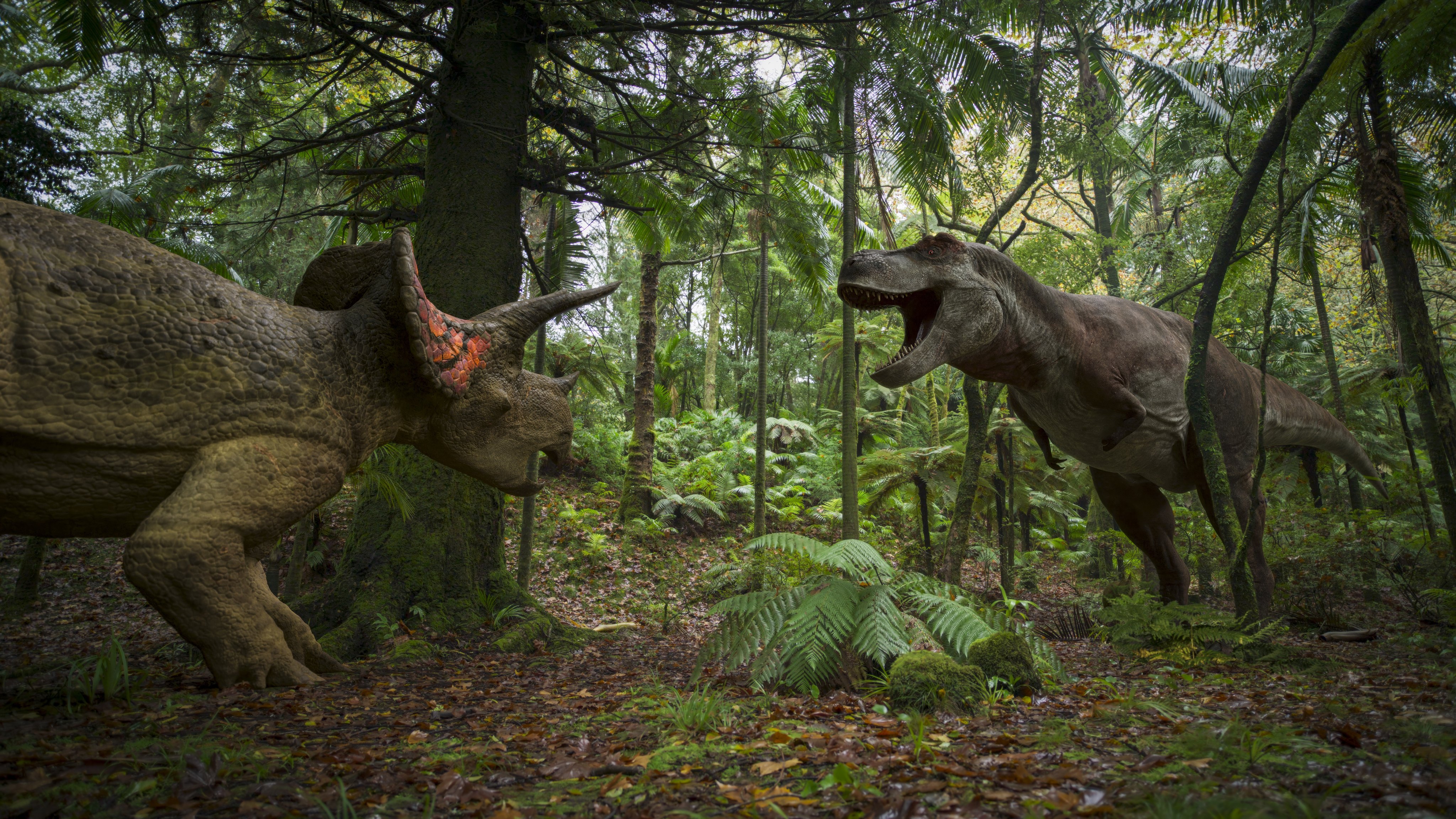 A Tyrannosaurus rex  (right) faces off against a Triceratops. Photo: BBC/Lola Post Production