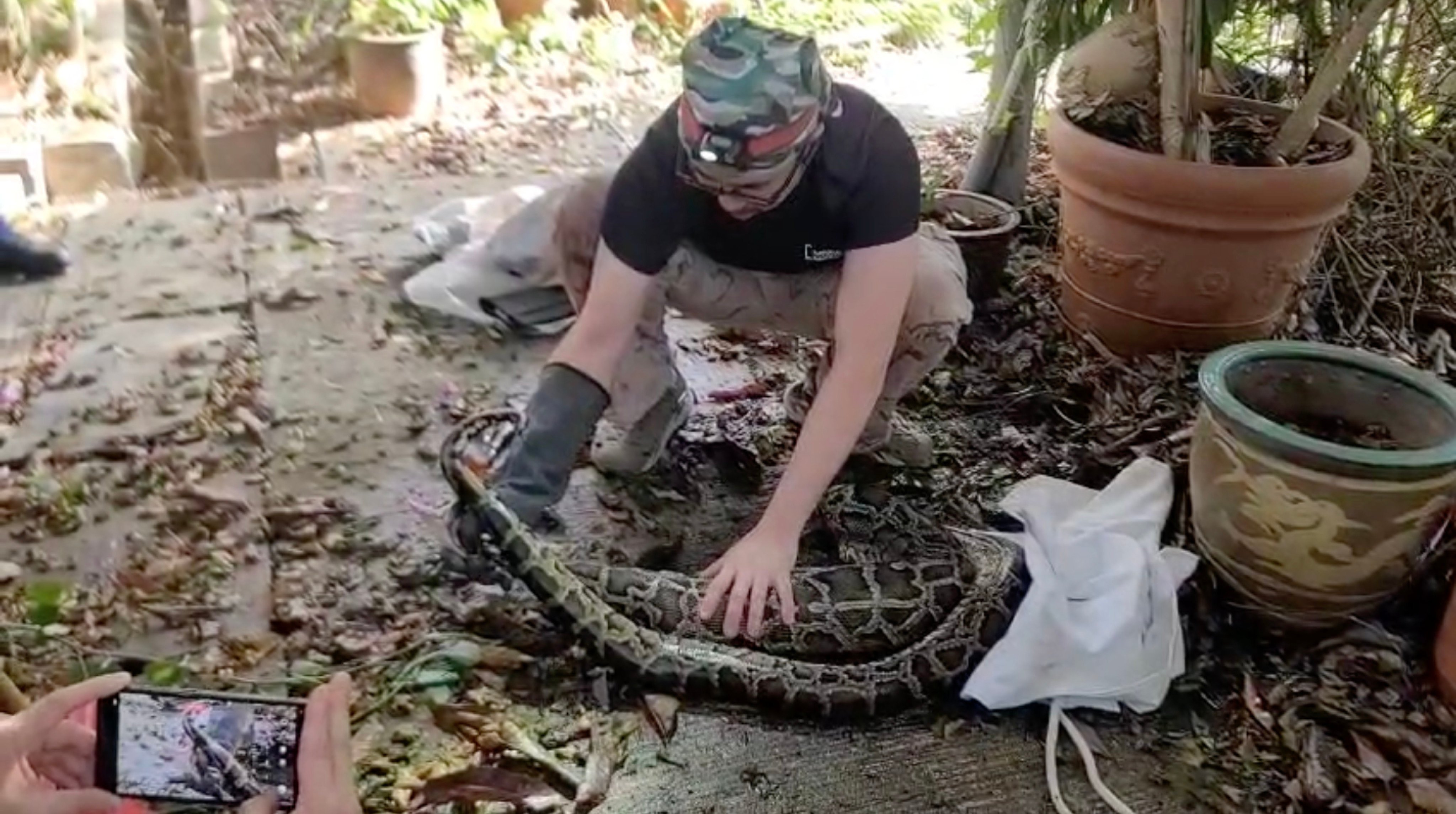 A Hong Kong snake handler captures a python that earlier swallowed a stray cat in Ma On Shan on Saturday morning. Photo: Ivan Li Yat-long