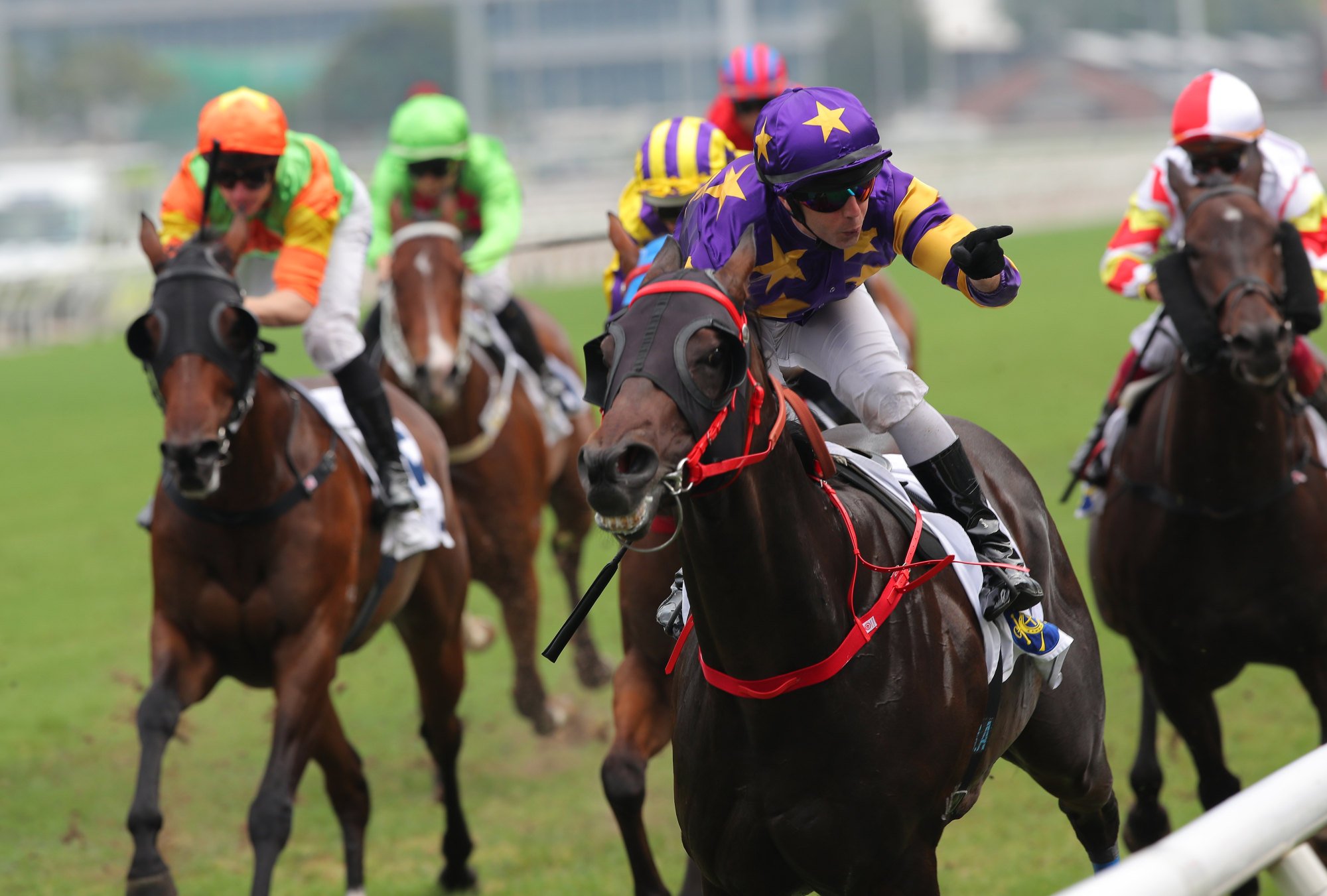 Brenton Avdulla celebrates on John Size’s 1600th winner Stellar Express.