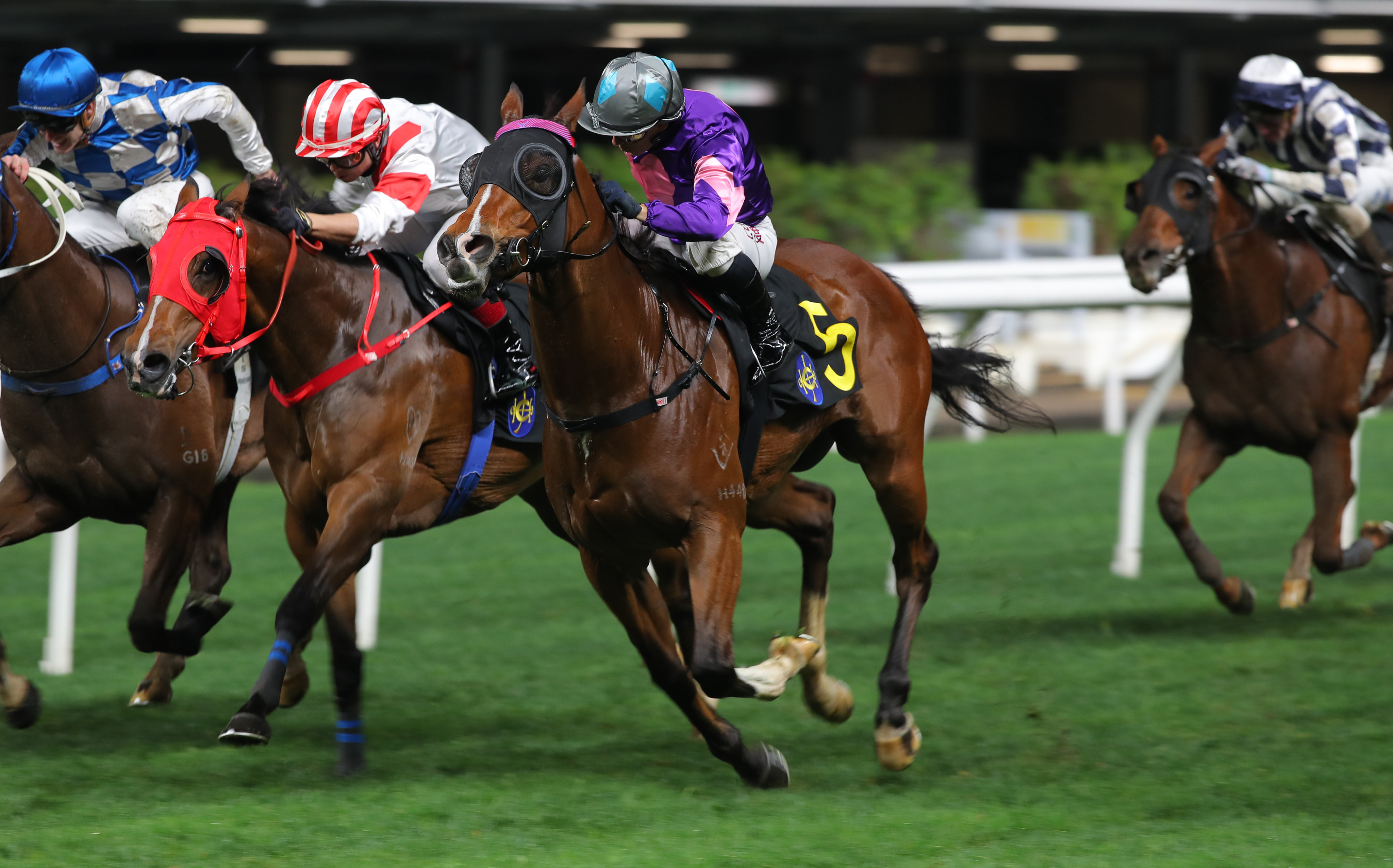 Spicy Gold (purple colours) gets up close to home at Happy Valley in March. Photos: Kenneth Chan