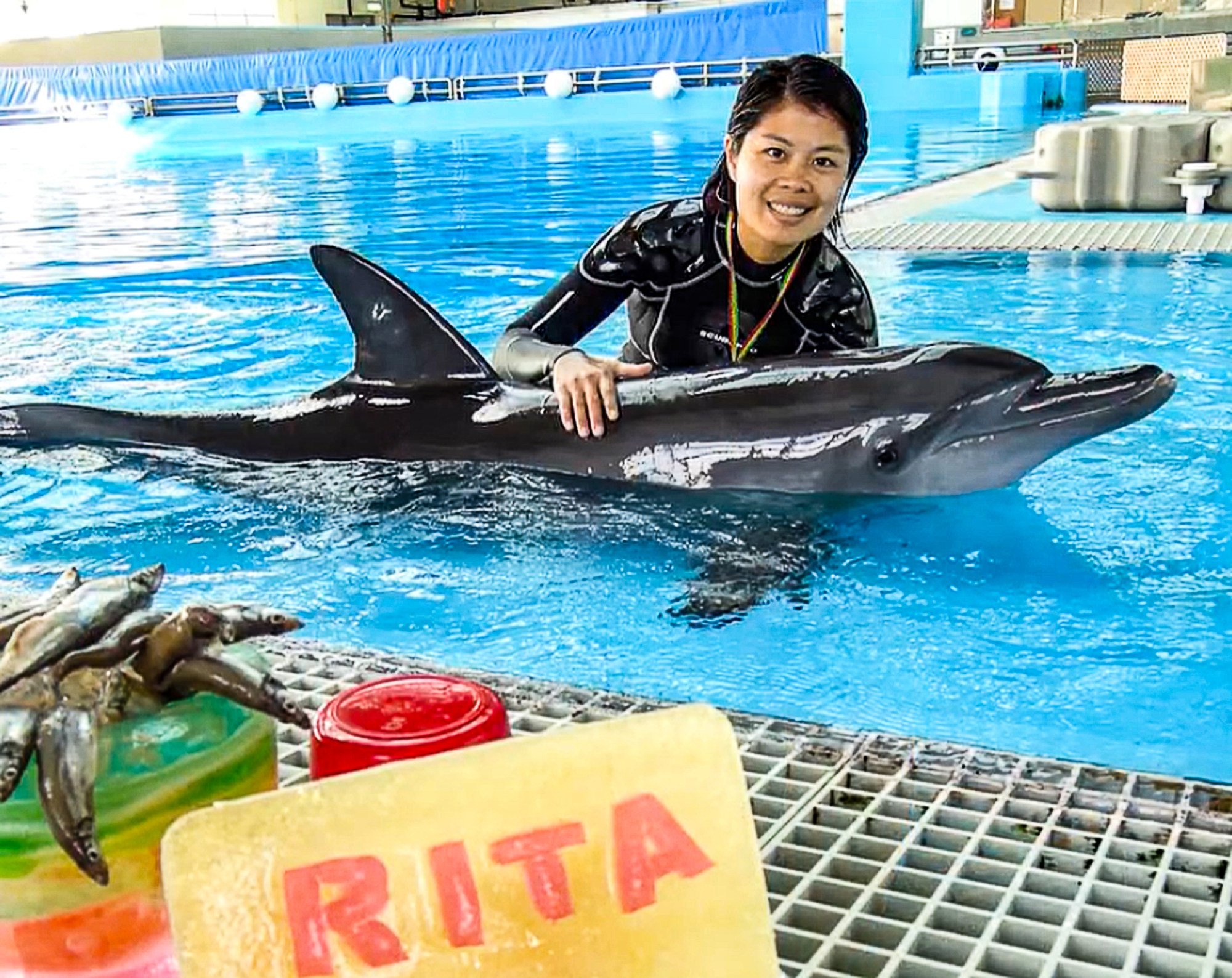 Rita the dolphin started to show signs of fatigue and a loss of appetite on Friday, according to the park. Photo: Ocean Park