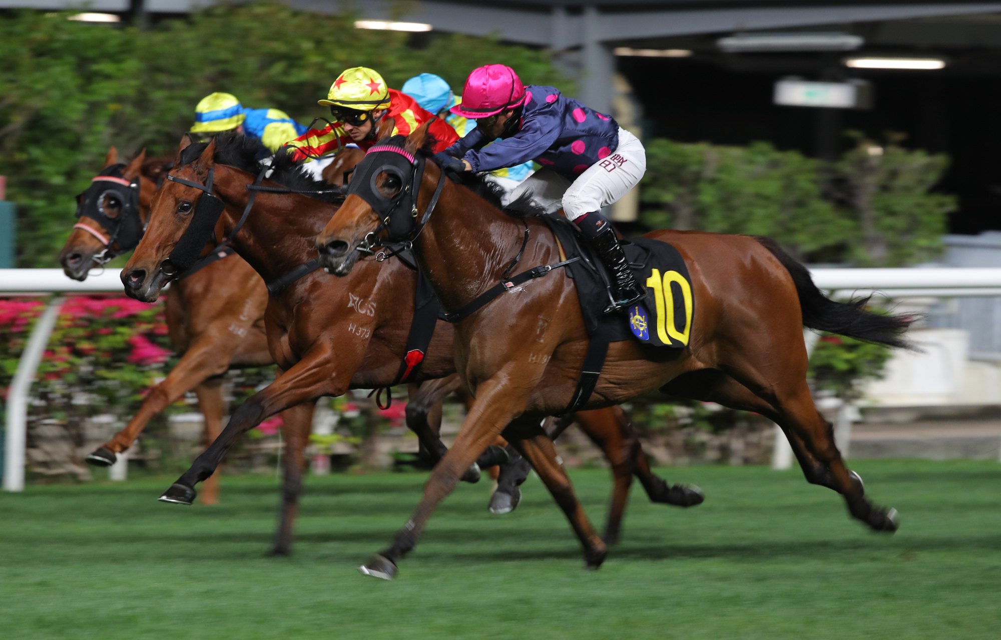 Tactical Command goes over the top to win at the Valley in March.