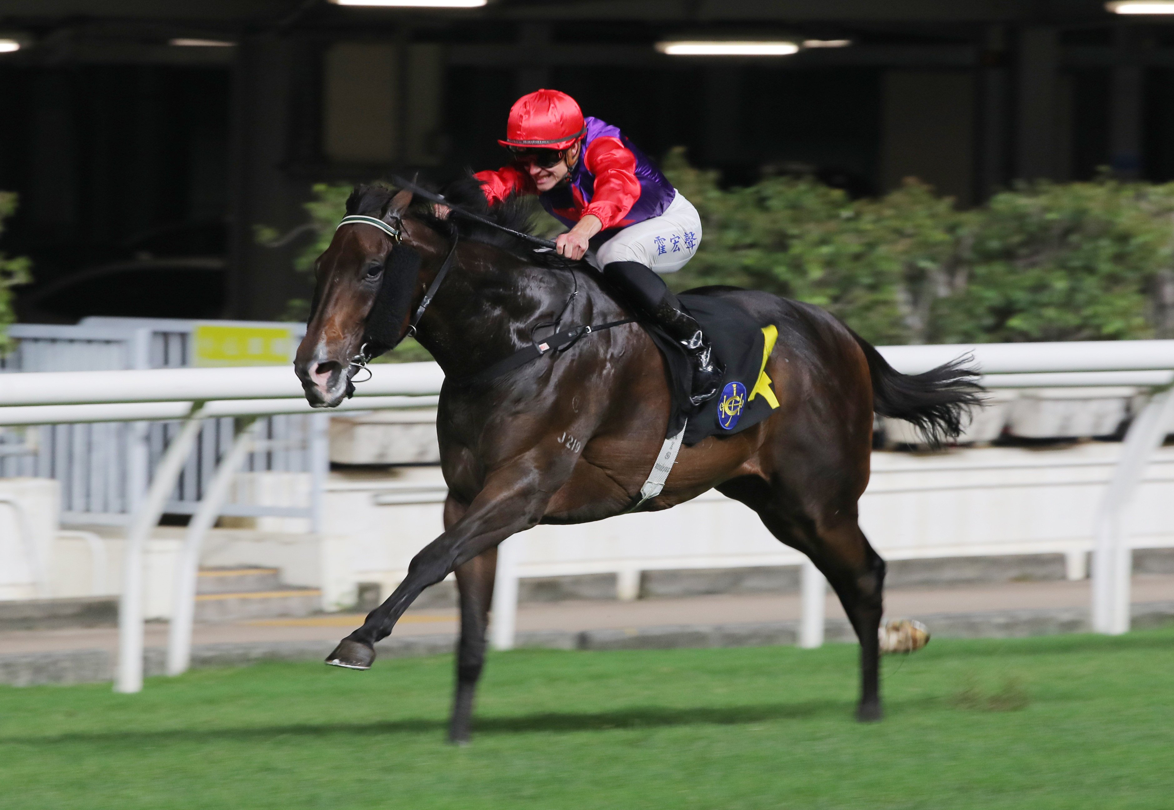 Chateauneuf and Luke Ferraris win at Happy Valley on May 7. Photos: Kenneth Chan