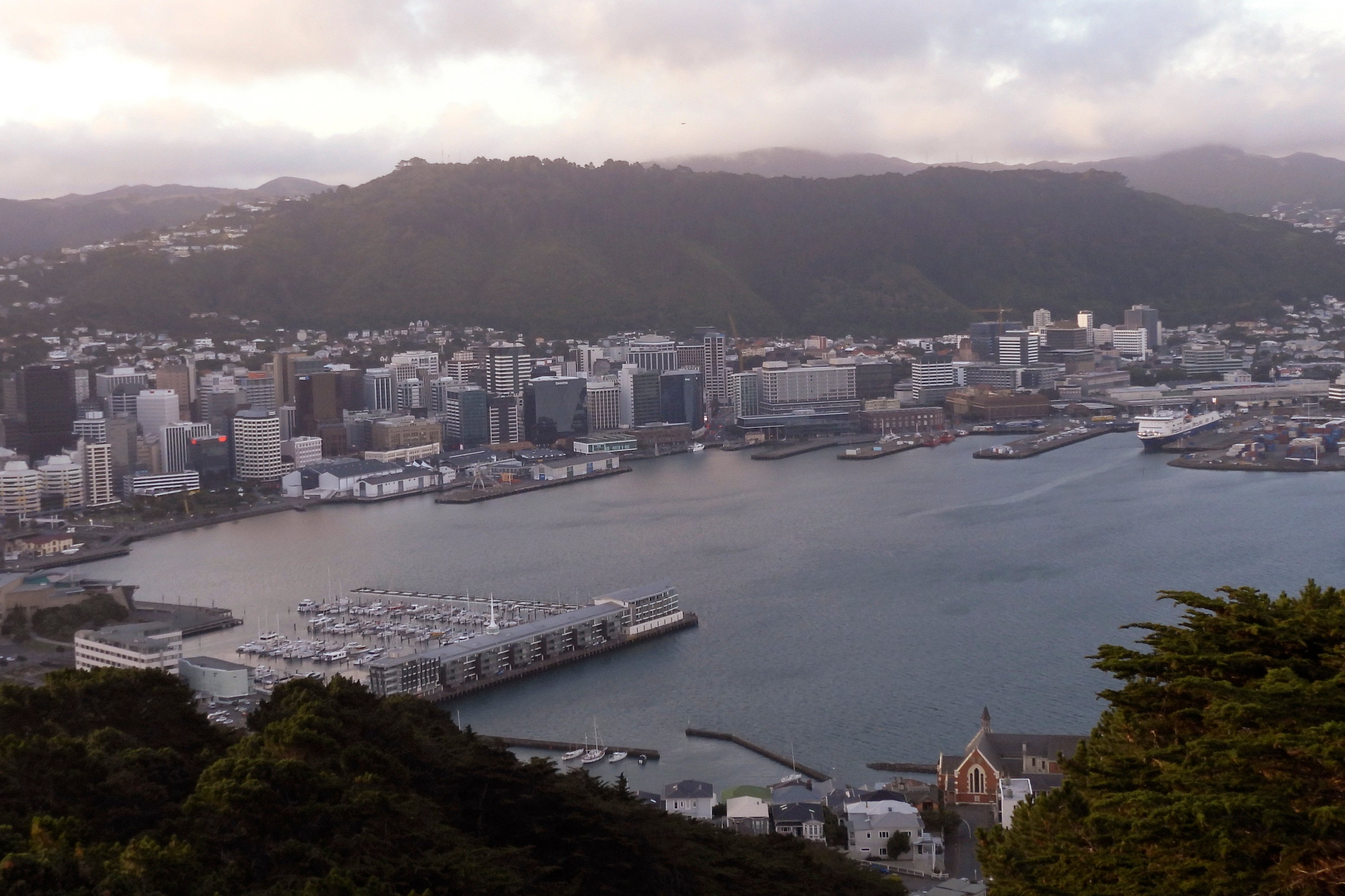 An aerial view of Wellington, New Zealand. Photo: AP