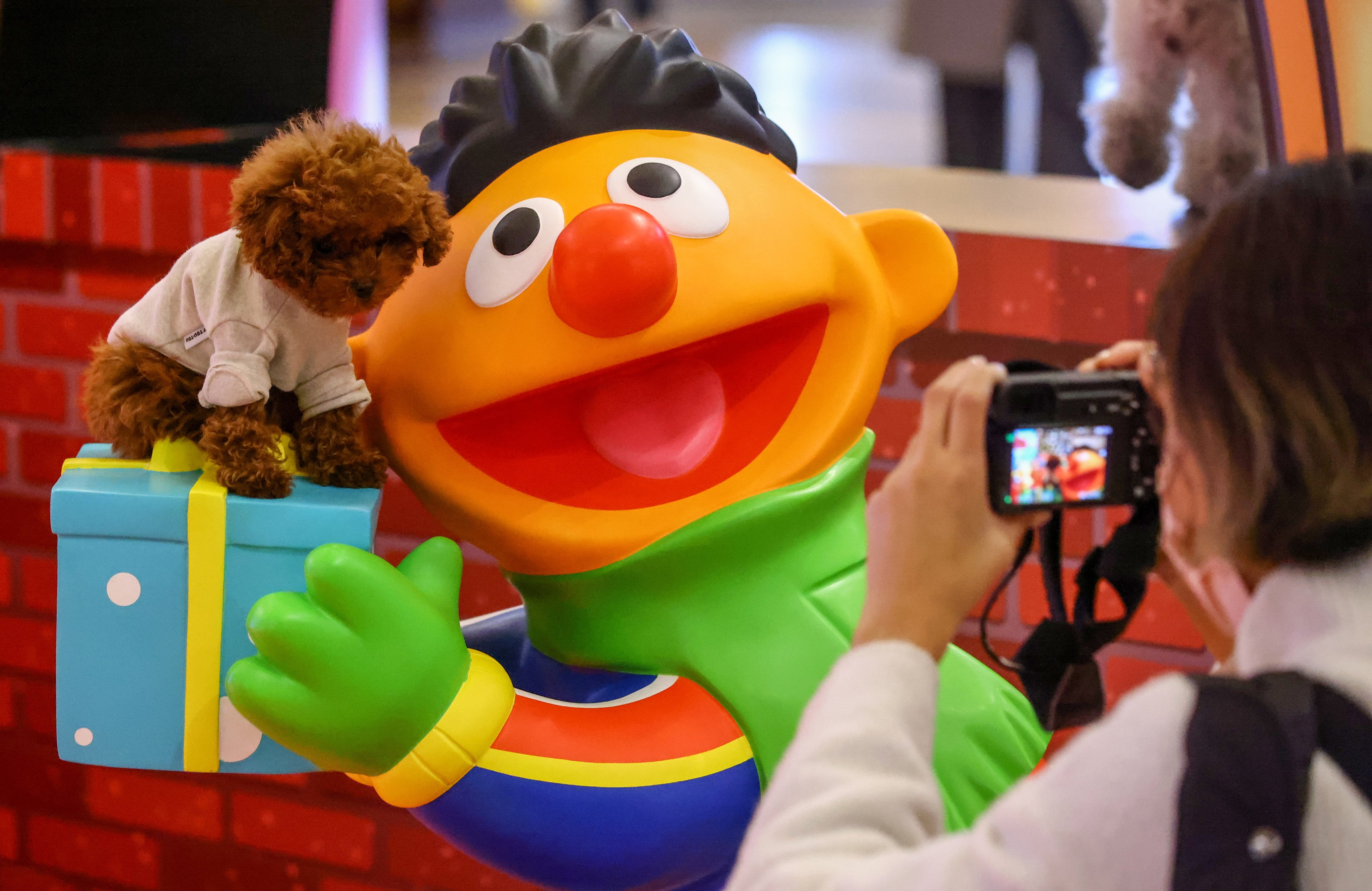 The latest series and classic episodes of ‘Sesame Street’ are coming to Netflix soon. Photo: Dickson Lee