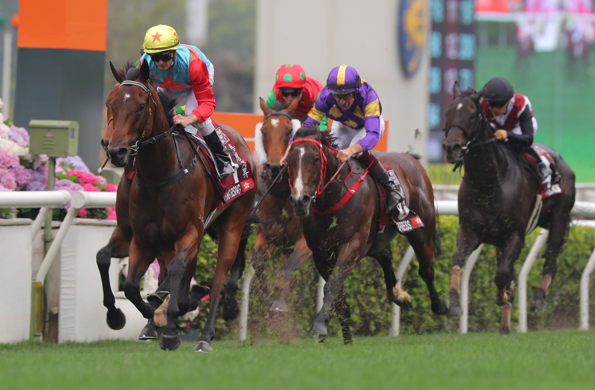 Ka Ying Rising thumps his rivals on Champions Day under Zac Purton. Ka Ying Rising thumps his rivals on Champions Day under Zac Purton.