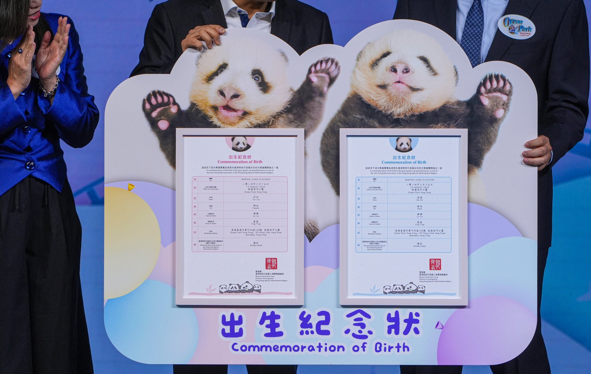 “Elder Sister” and “Younger Brother” have been named Jia Jia and De De, respectively. Photo: Eugene Lee