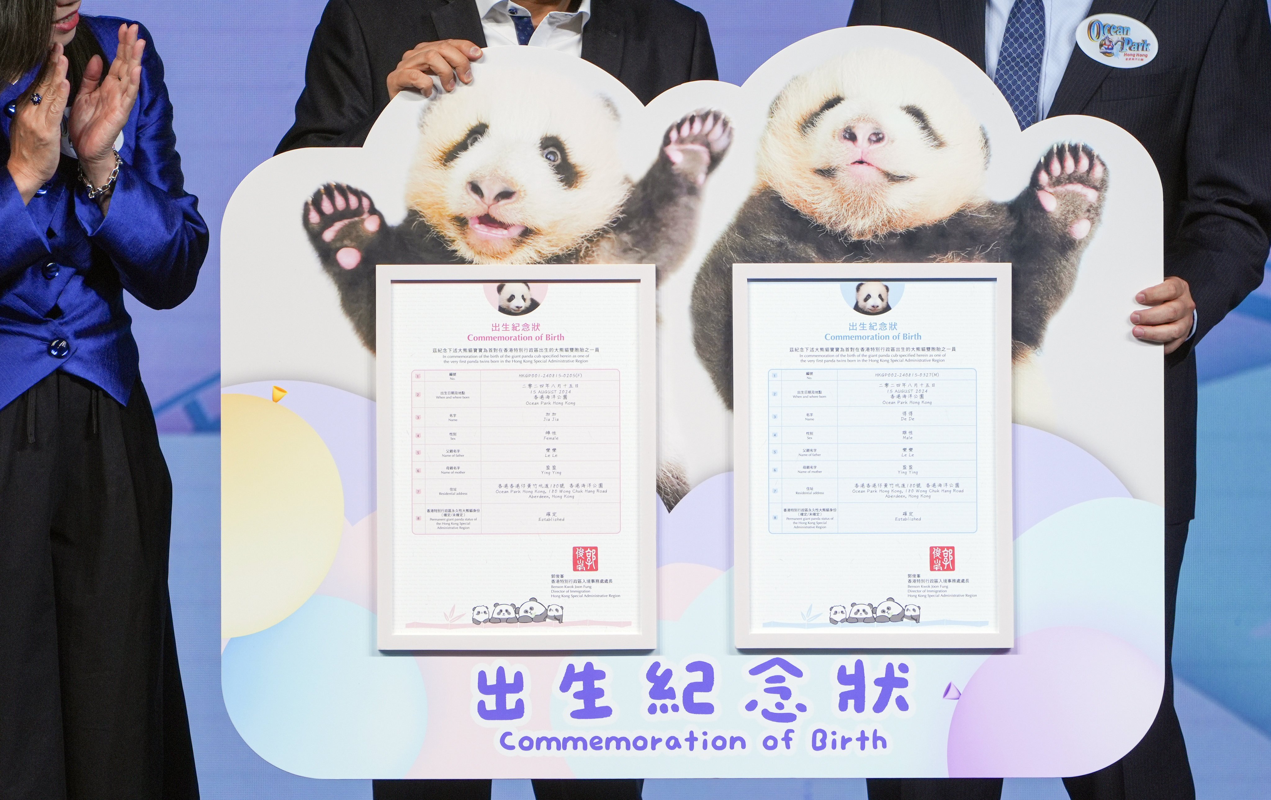 The giant panda twin cubs have received two commemorative birth certificates with their new names: Jia Jia and De De. Photo: Eugene Lee