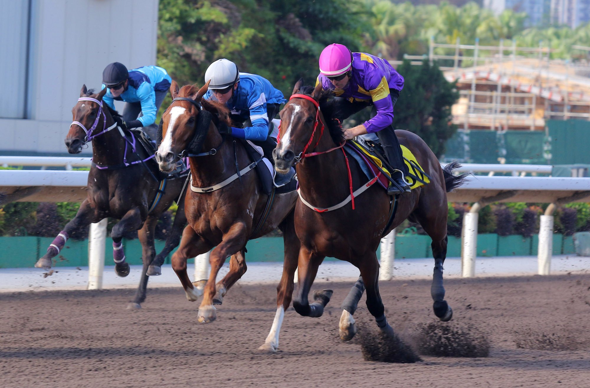 Helios Express (outside) runs fourth under Hugh Bowman in a recent dirt trial.