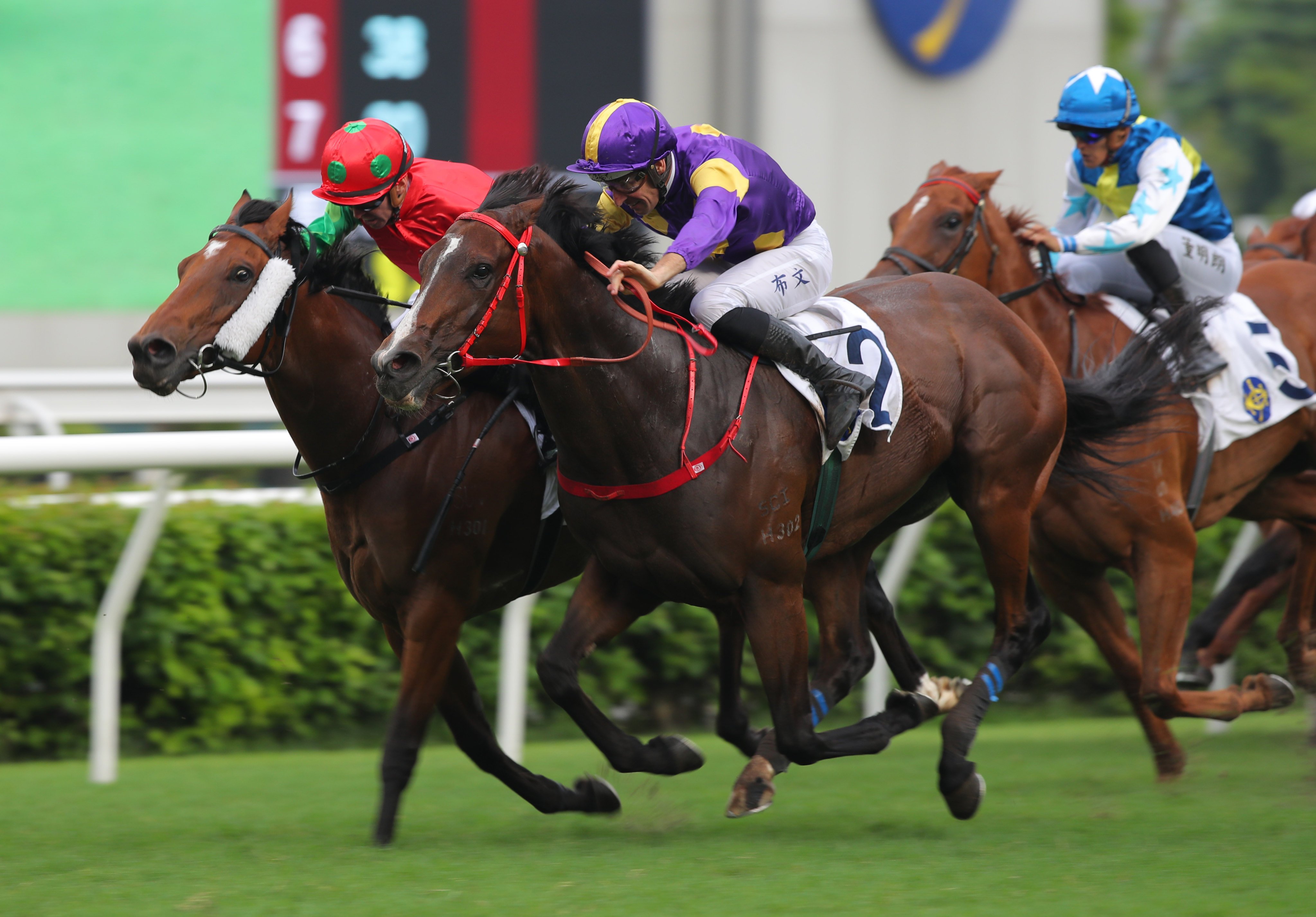 Helios Express (outside) rockets home to beat Invincible Sage in the Group Three Sha Tin Vase. Photos: Kenneth Chan