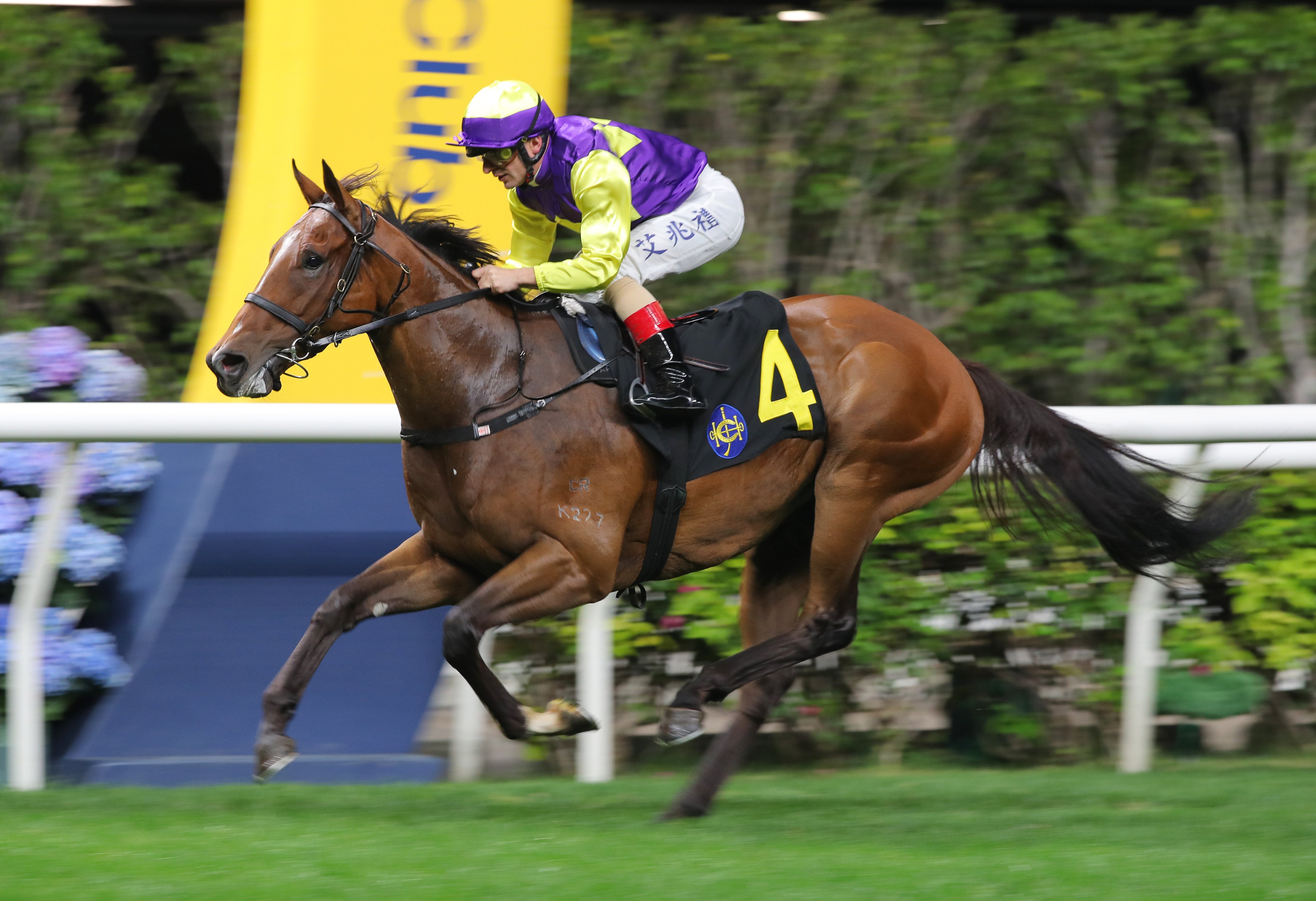 Colourful King wins in splendid isolation at Happy Valley. Photos: Kenneth Chan