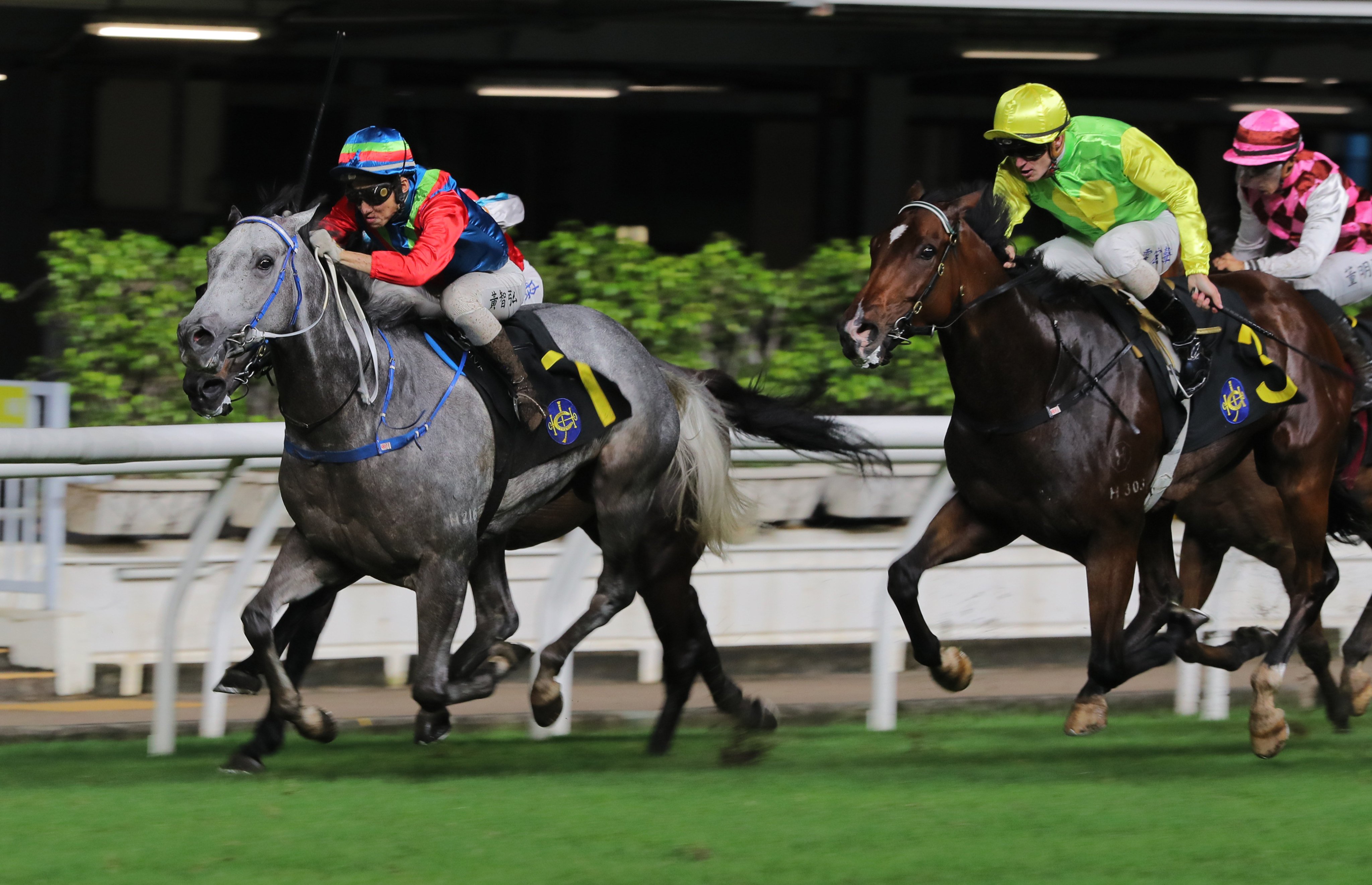 Ellis Wong drives Kaholo Angel home at Happy Valley. Photo: Kenneth Chan