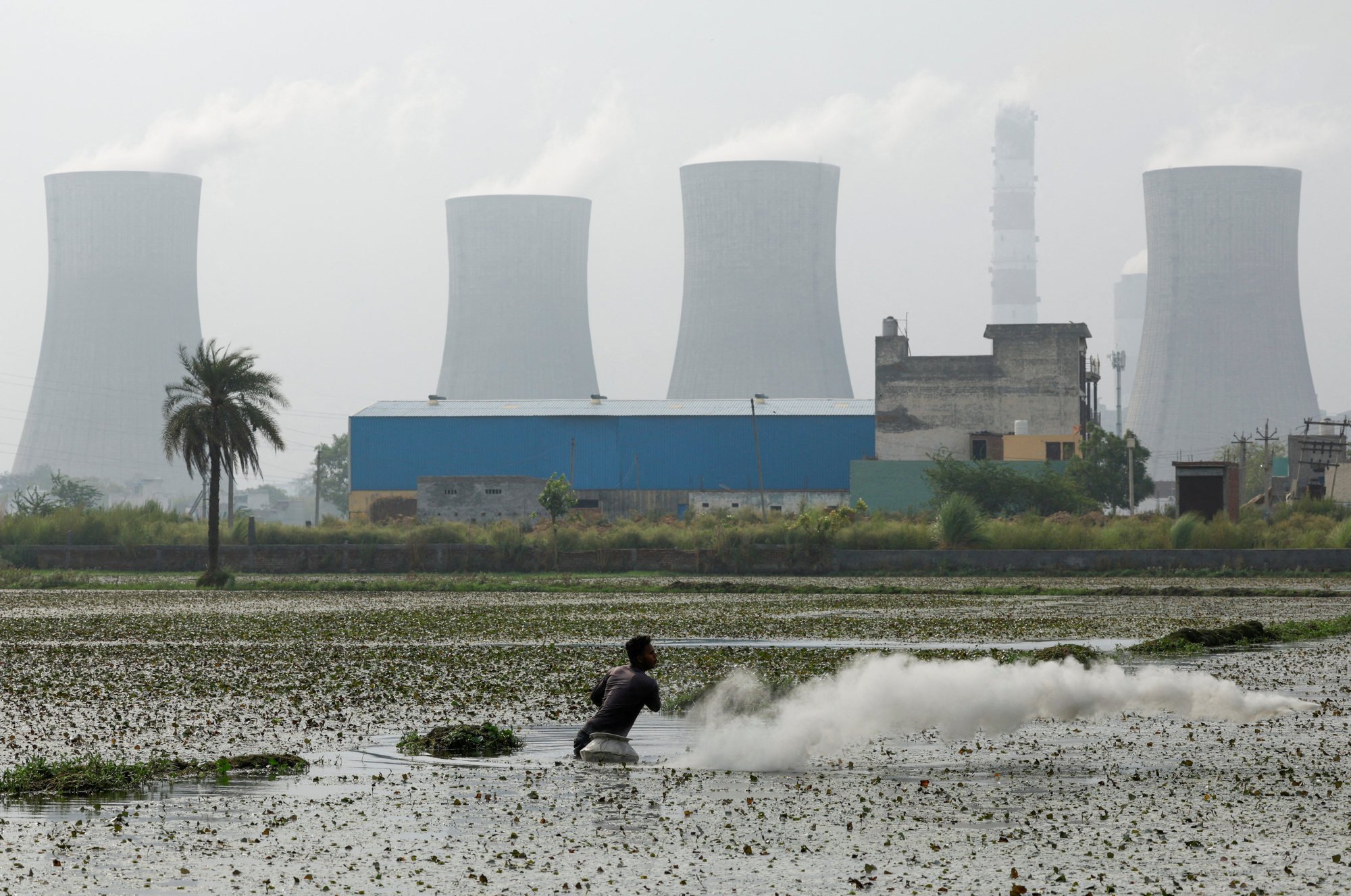 A farmer throws pesticides on crops in front of a coal power plant in Dadri, India. The country is expected to rely less on fossil sources for its power in the coming years. Photo: Reuters A farmer throws pesticides on crops in front of a coal power plant in Dadri, India. The country is expected to rely less on fossil sources for its power in the coming years. Photo: Reuters