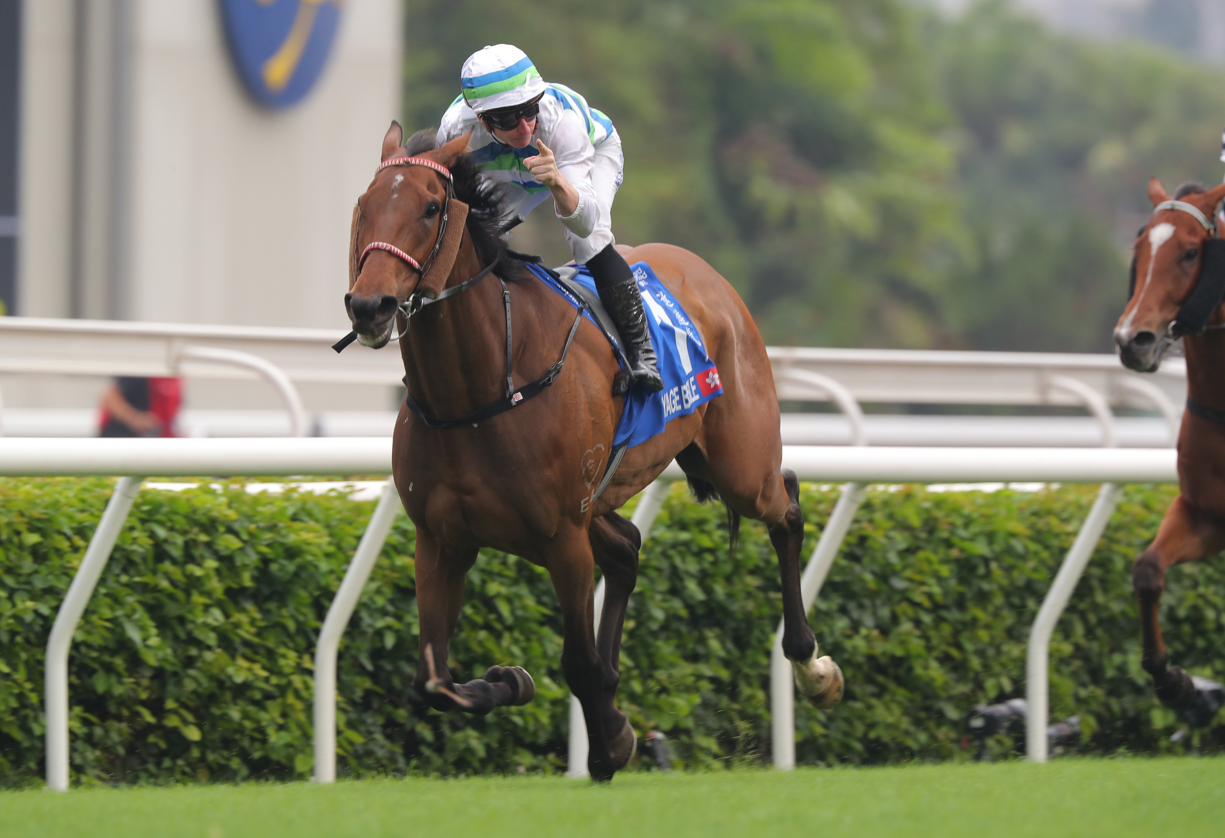 Voyage Bubble wins the Champions & Chater Cup under James McDonald. Photos: Kenneth Chan