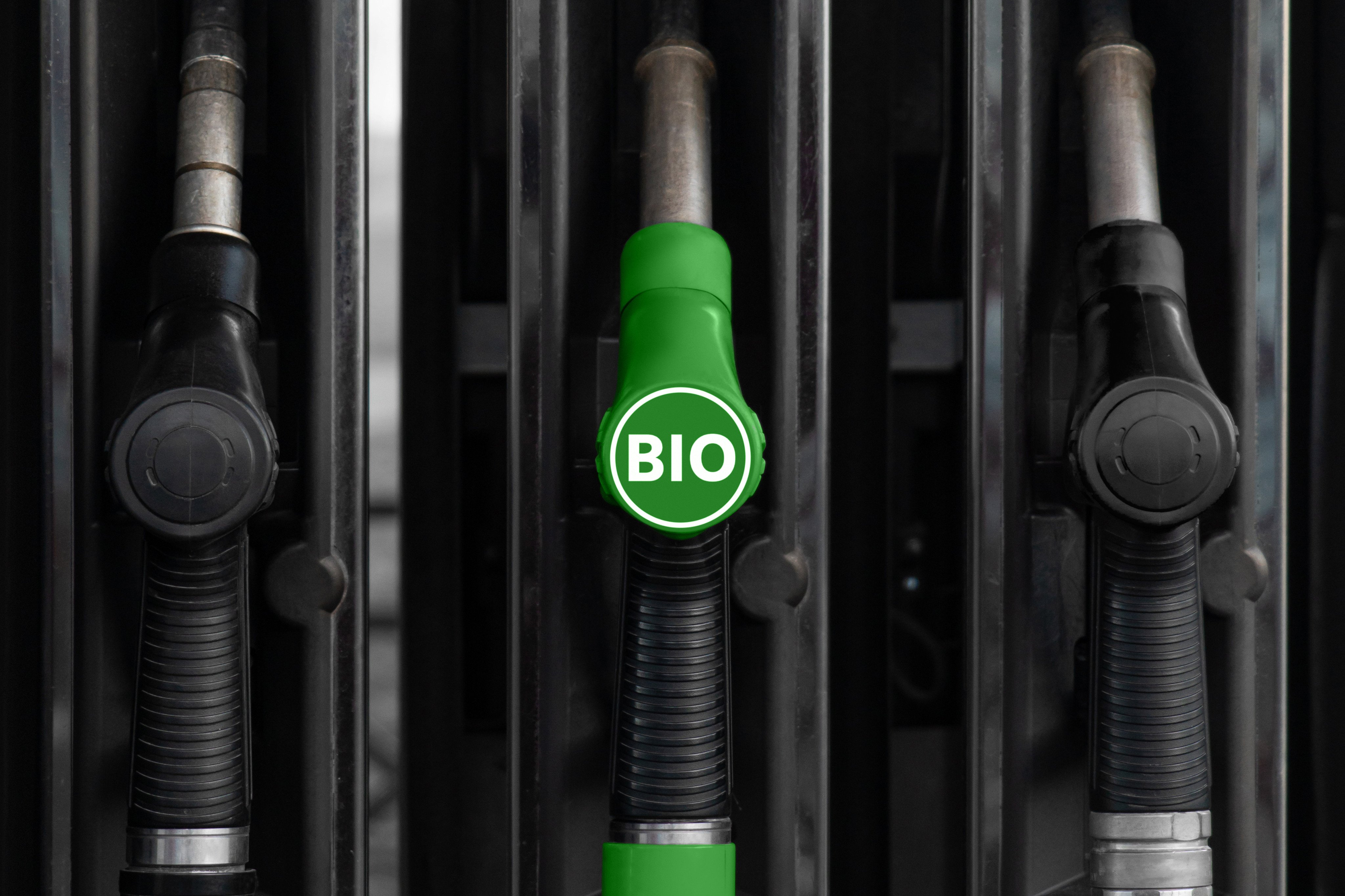 Hong Kong’s biodiesel consumption amounted to 7.5 per cent of the city’s annual production of 100,000 tonnes. Photo: Shutterstock