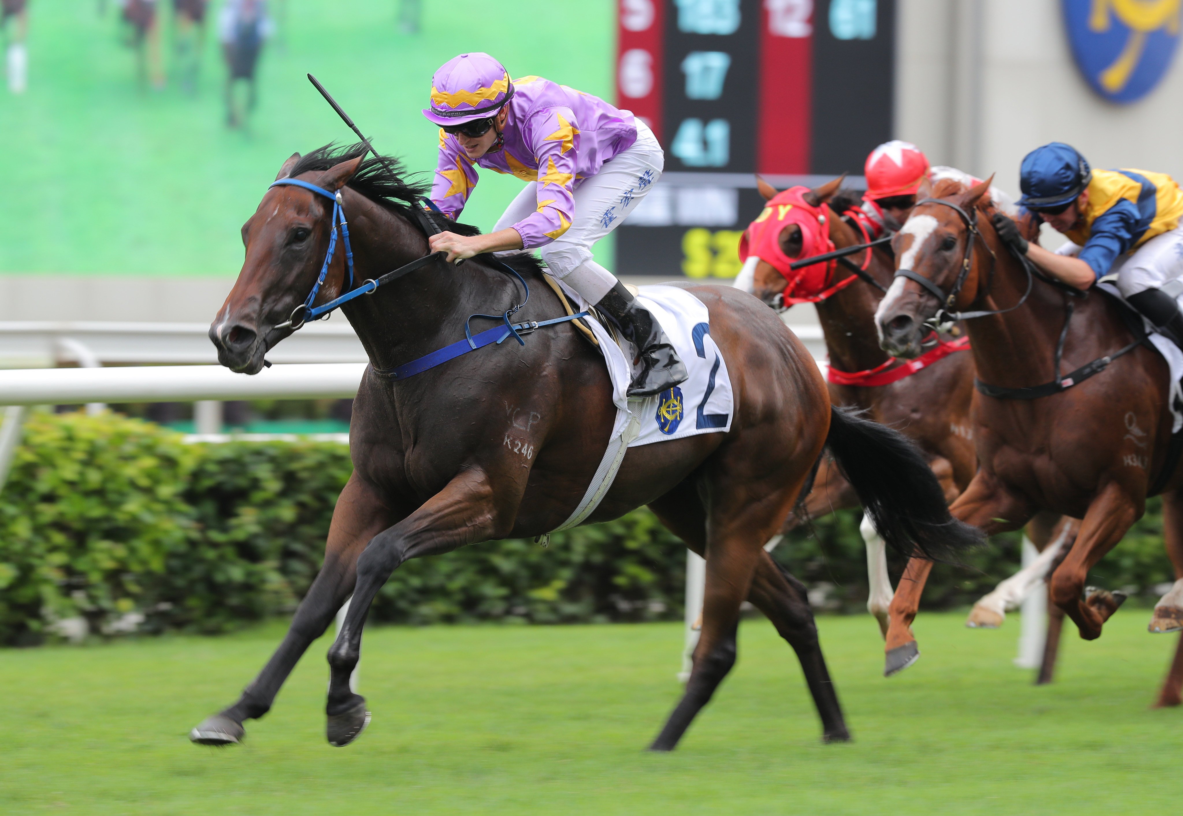 Little Paradise salutes under Luke Ferraris at Sha Tin in May. Photo: Kenneth Chan