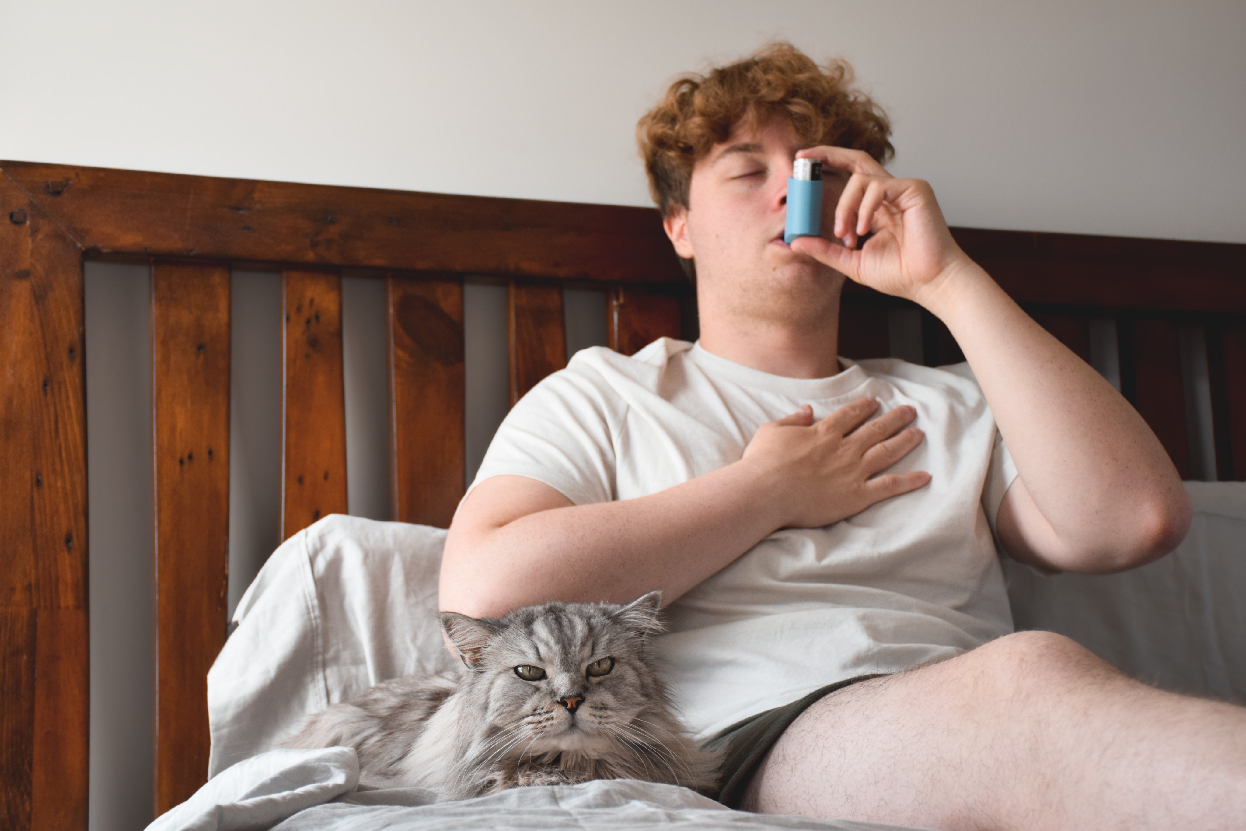 Having a pet can trigger allergies, but not in the ways many people think. Photo: Shutterstock