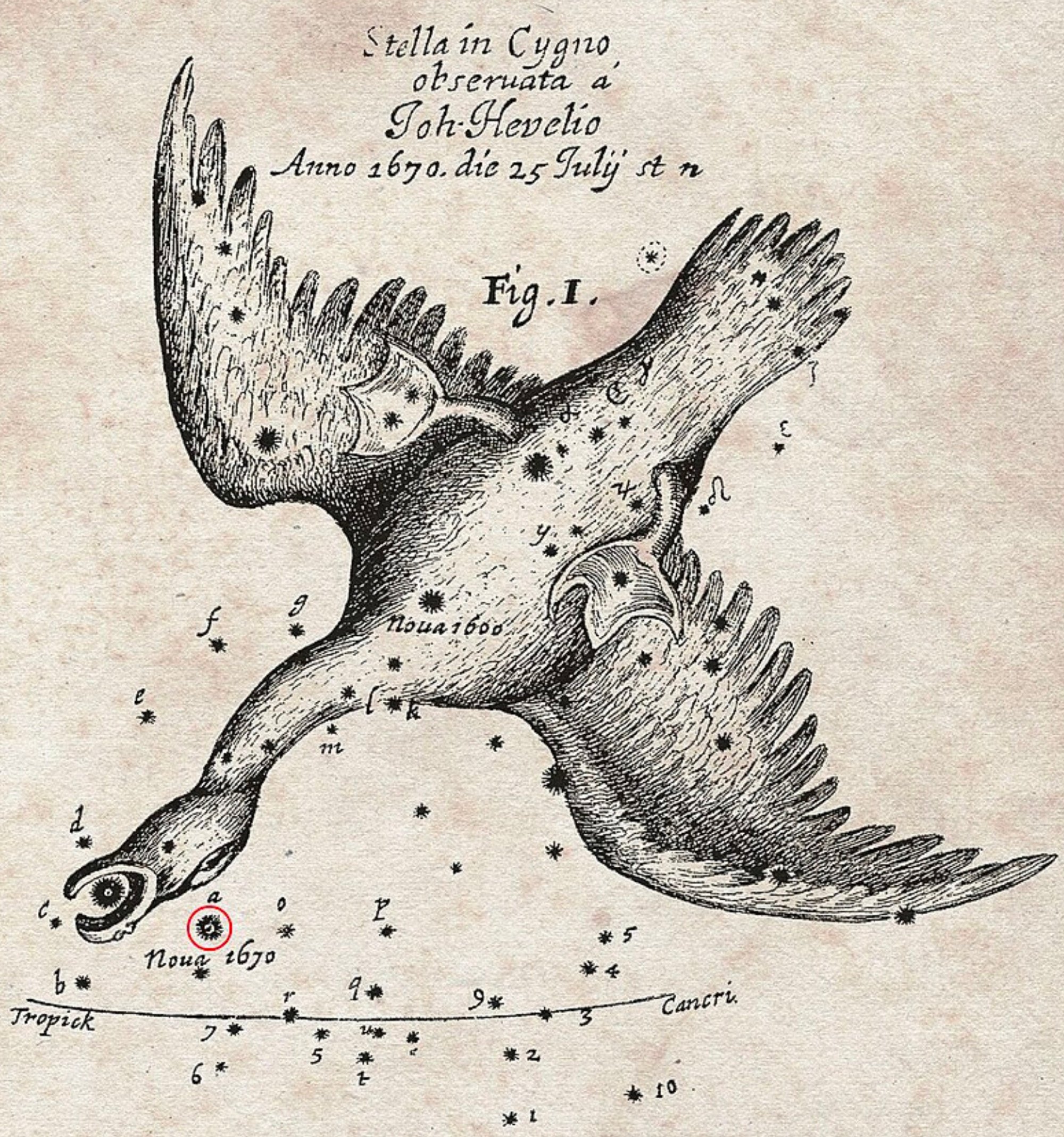 Polish astronomer Johannes Hevelius marked the appearance of a “new star”, now known as CK Vul, in Cygnus in 1670. Photo: Handout Polish astronomer Johannes Hevelius marked the appearance of a “new star”, now known as CK Vul, in Cygnus in 1670. Photo: Handout