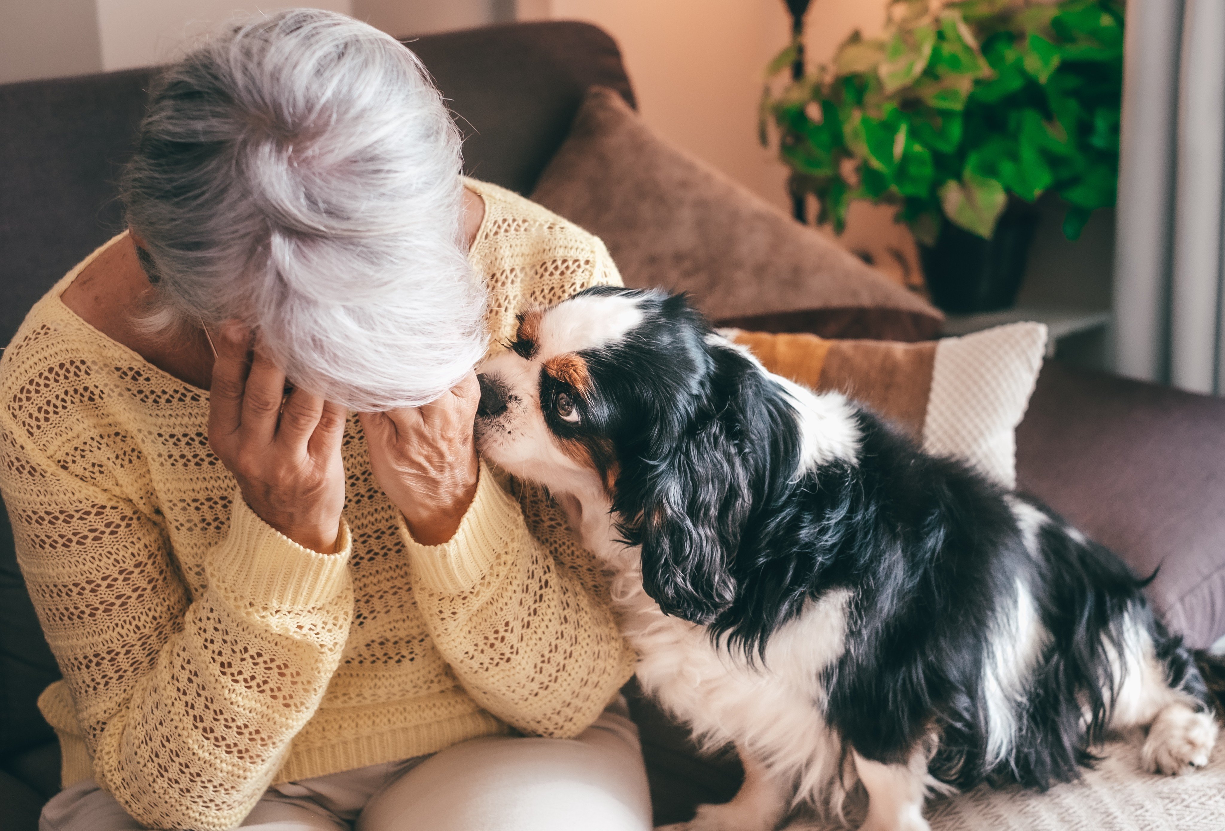 Even after having trouble calling her dog, and feeling numbness in her hand, Kristin Kramer did not realise she was having a ministroke, and did not seek immediate help. 
Photo: Shutterstock