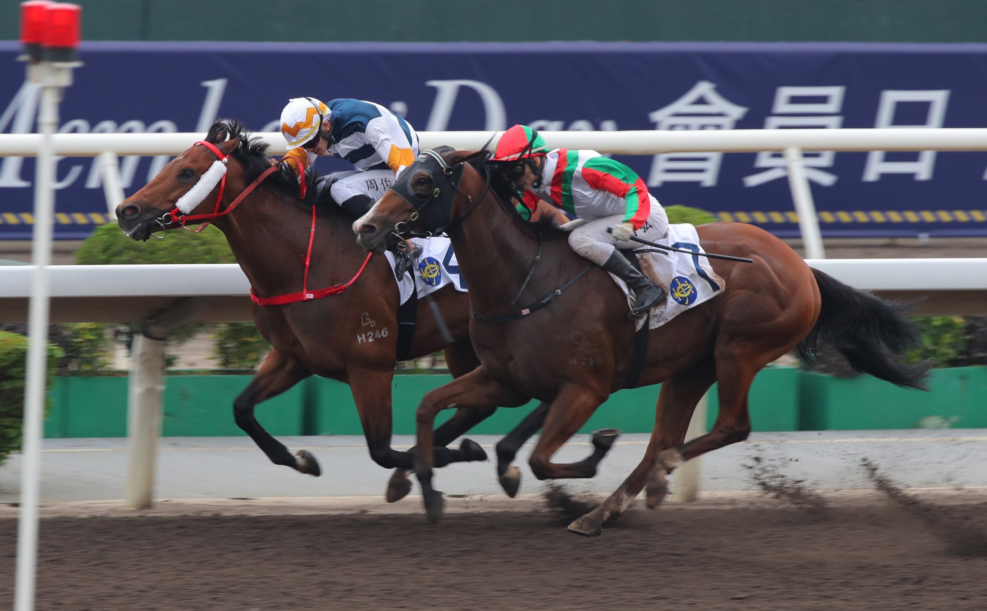 Solid Shalaa (outside) chases down Packing Bole to win the Class Three Members Cup (1,200m).