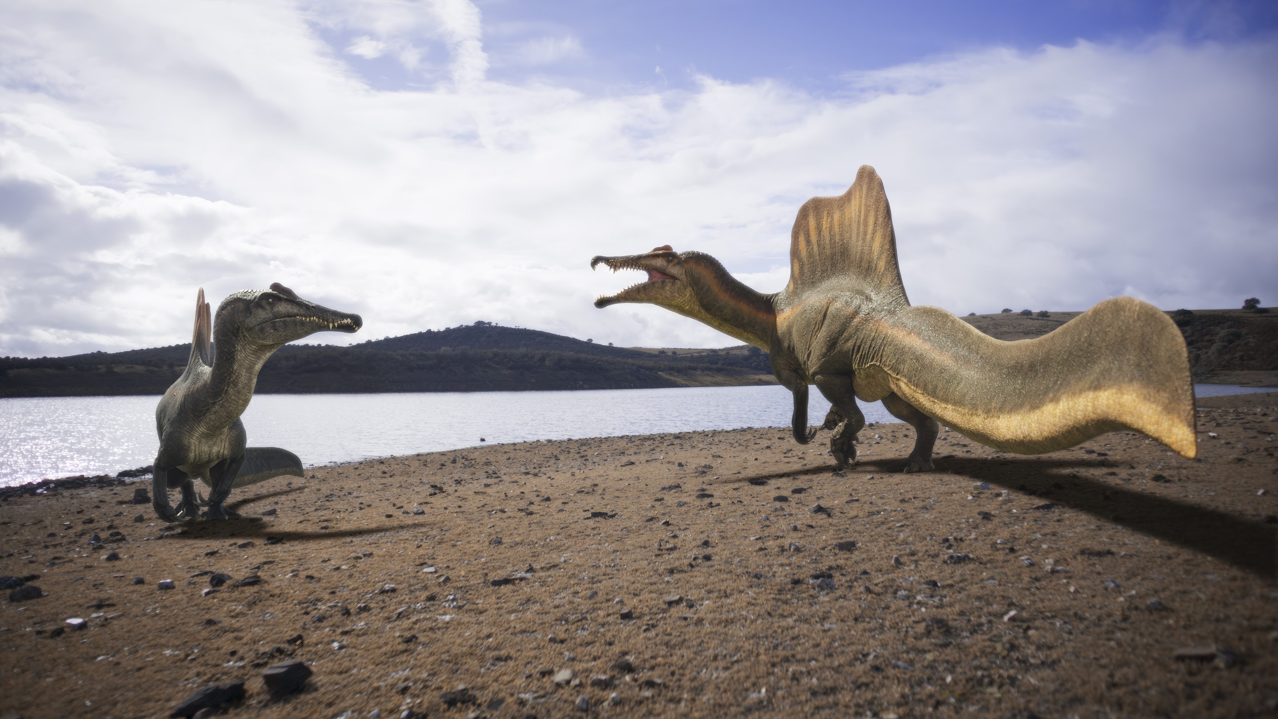 In the new ‘Walking with Dinosaurs’ revival, dinosaurs are given personalities and names. Here, Sobek the Spinosaurus (right) takes on a rival. Photo: BBC