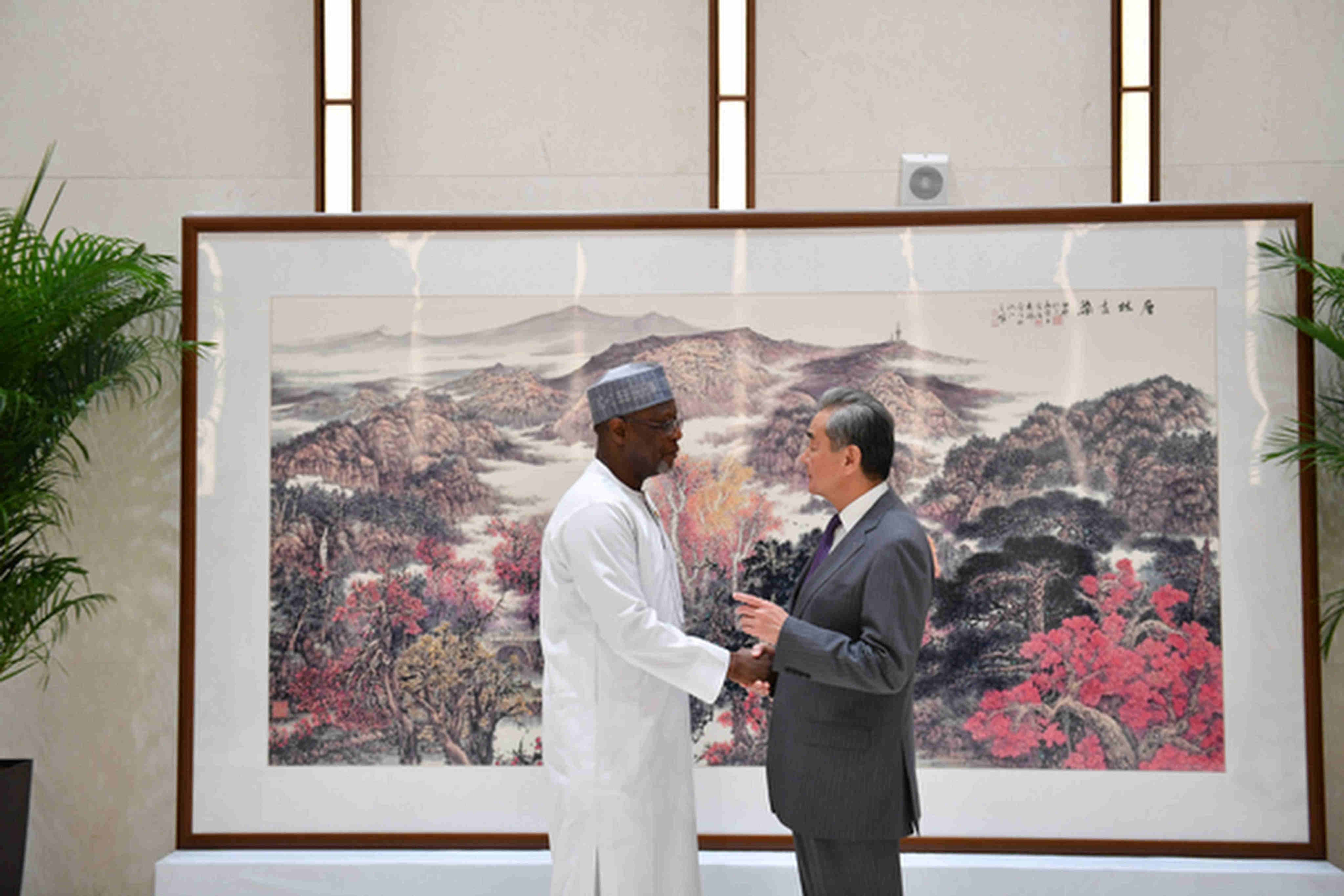 Chinese Foreign Minister Wang Yi meets his Nigerien counterpart Bakary Yaou Sangaré in Changsha, Hunan province on Wednesday. Photo: Ministry of Foreign Affairs