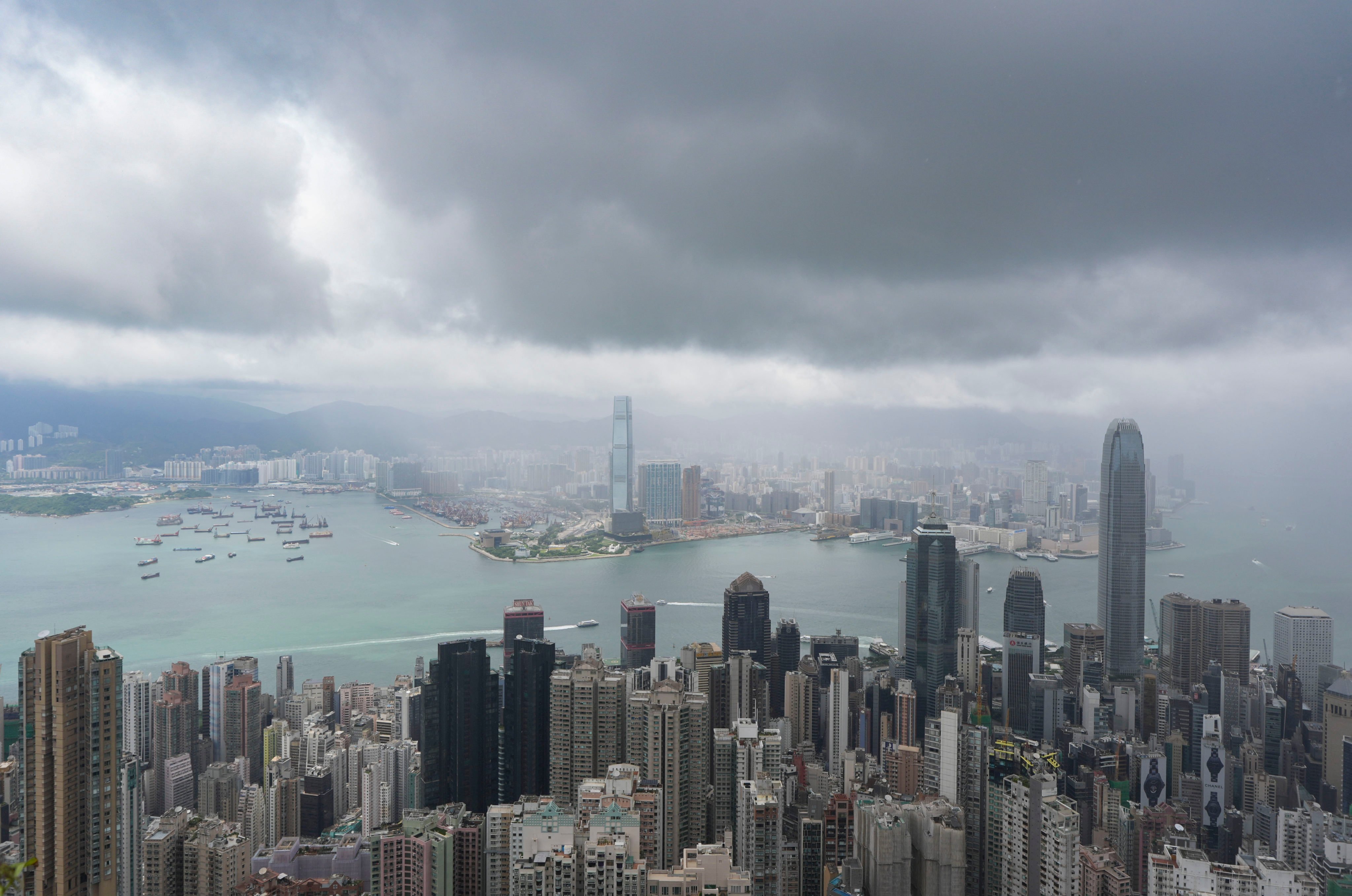 Wutip is named after the Cantonese word for “butterfly”. Photo: Eugene Lee