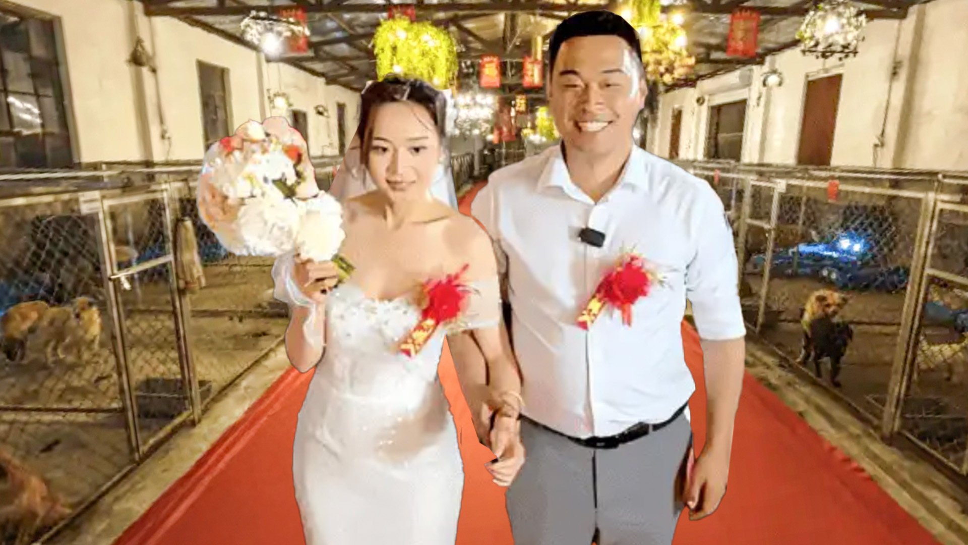 A Chinese couple, who operate a dog shelter, made their way down the aisle surrounded by dogs and volunteers, bringing joy to many. Photo: SCMP composite/Sohu