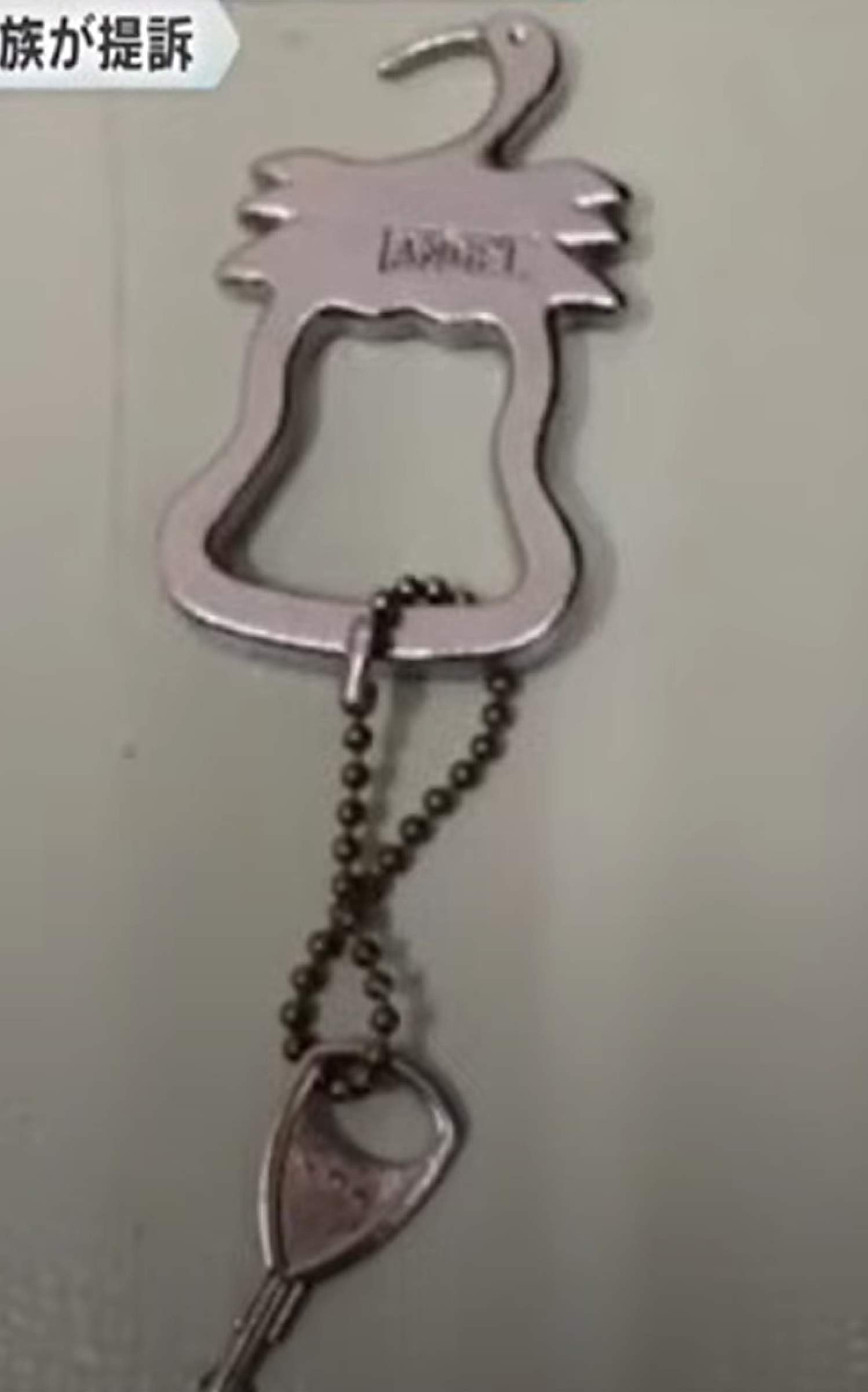 The metal key was on a goose-shaped chain with sharp edges. Photo: Handout The metal key was on a goose-shaped chain with sharp edges. Photo: Handout
