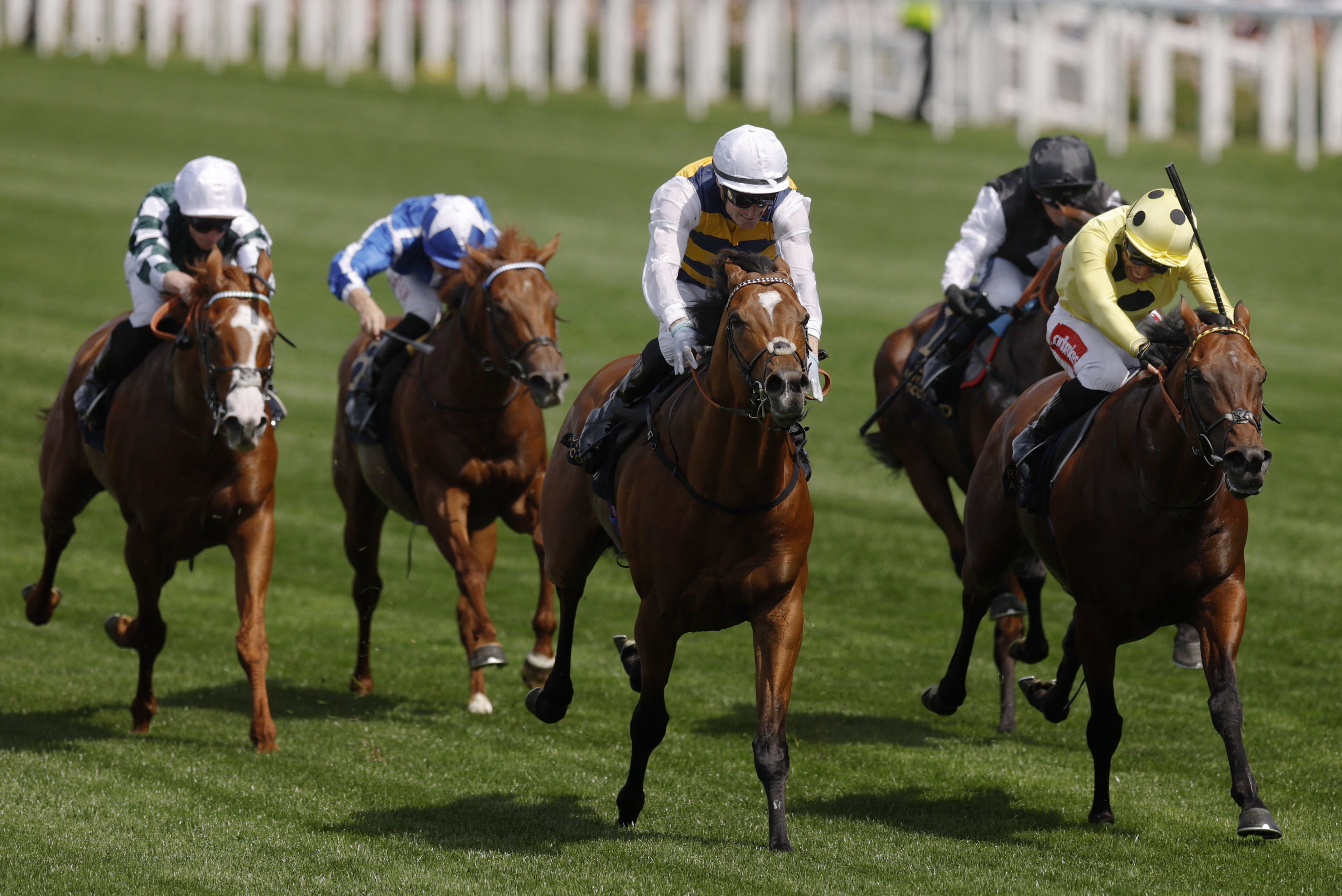 Docklands (centre) pips Rosallion (right) in Tuesday’s Group One Queen Anne Stakes (1,600m) at Royal Ascot. Photo: Reuters