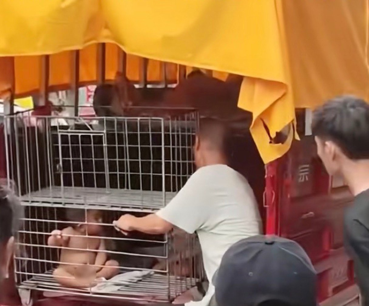 Diao told the police his caged toddler son was naked so that he would not suffer from the heat. Photo: Douyin Diao told the police his caged toddler son was naked so that he would not suffer from the heat. Photo: Douyin