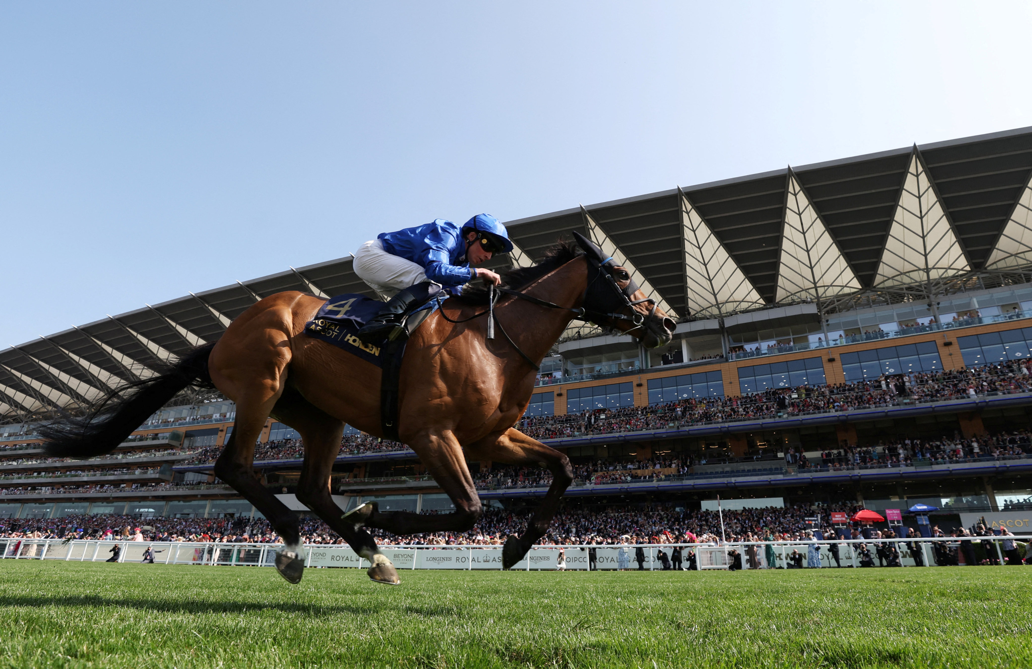 Trawlerman dominates the Ascot Gold Cup under William Buick. Photo: Reuters