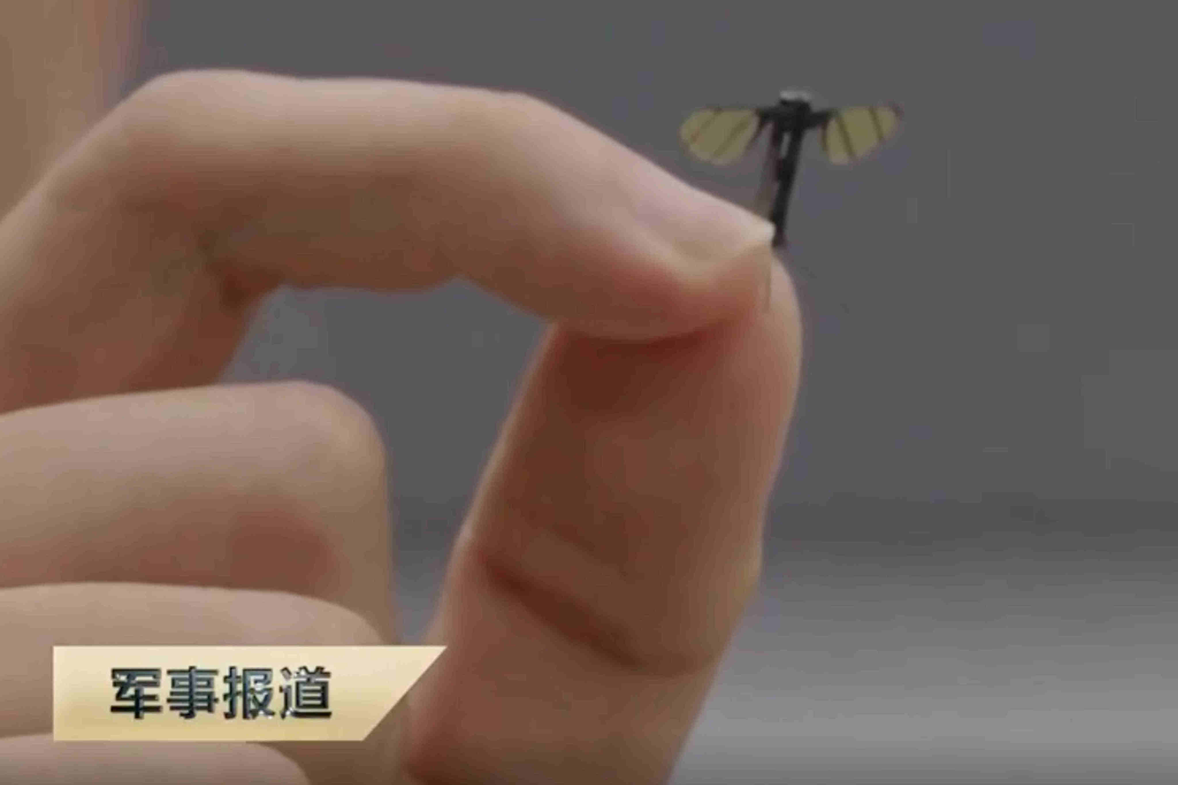 A CCTV screenshot shows a Chinese mosquito-sized UAV developed at the National University of Defence Technology and suited to covert military operations. Photo: CCTV