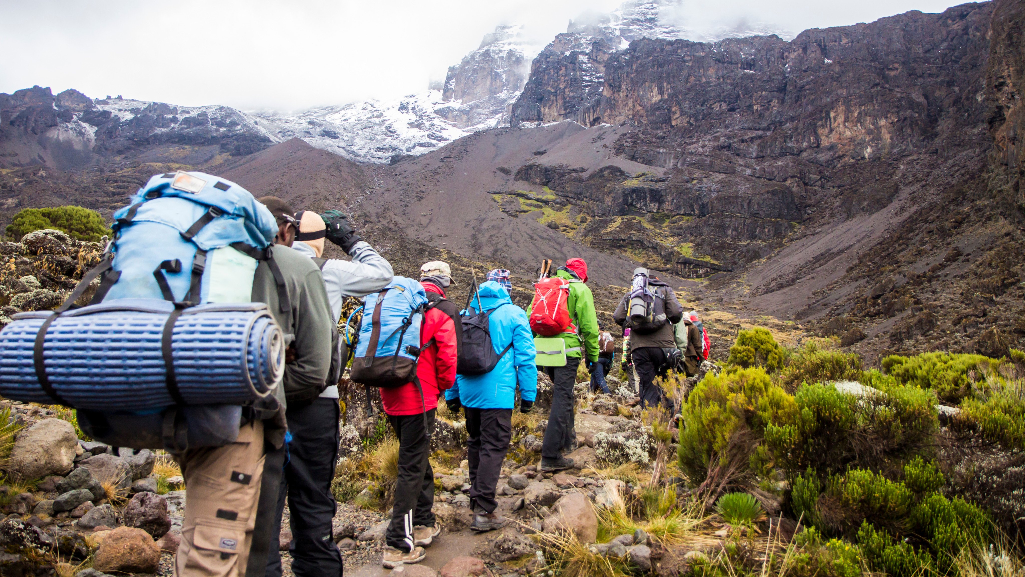 A group climbs Mount Kilimanjaro in Tanzania. Photo: Shutterstock