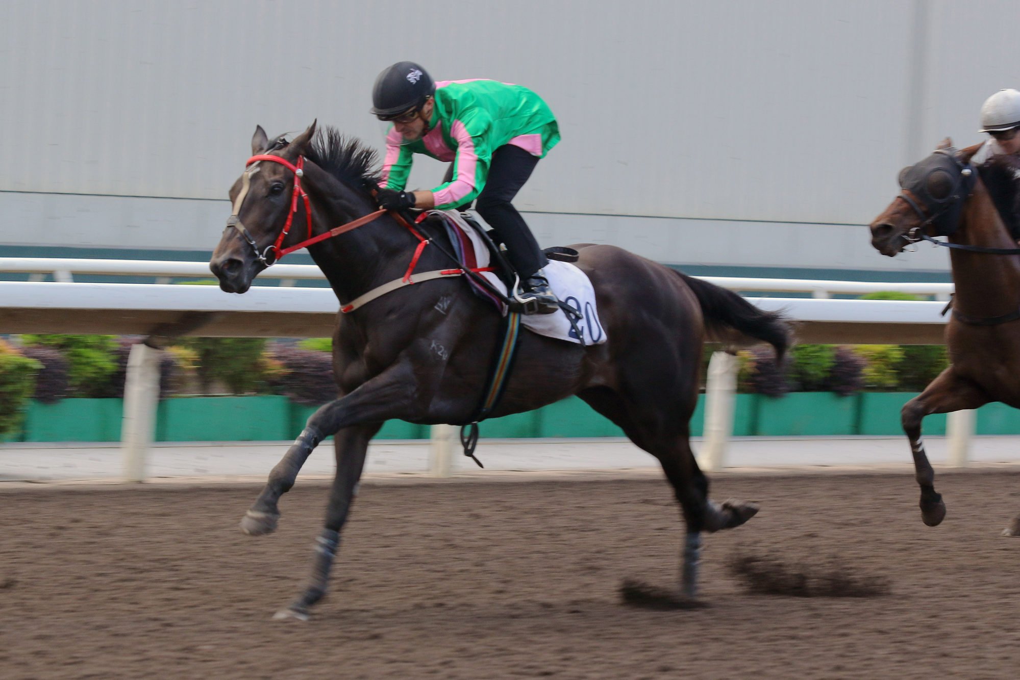 Bundle Award trials on the dirt under Andrea Atzeni.