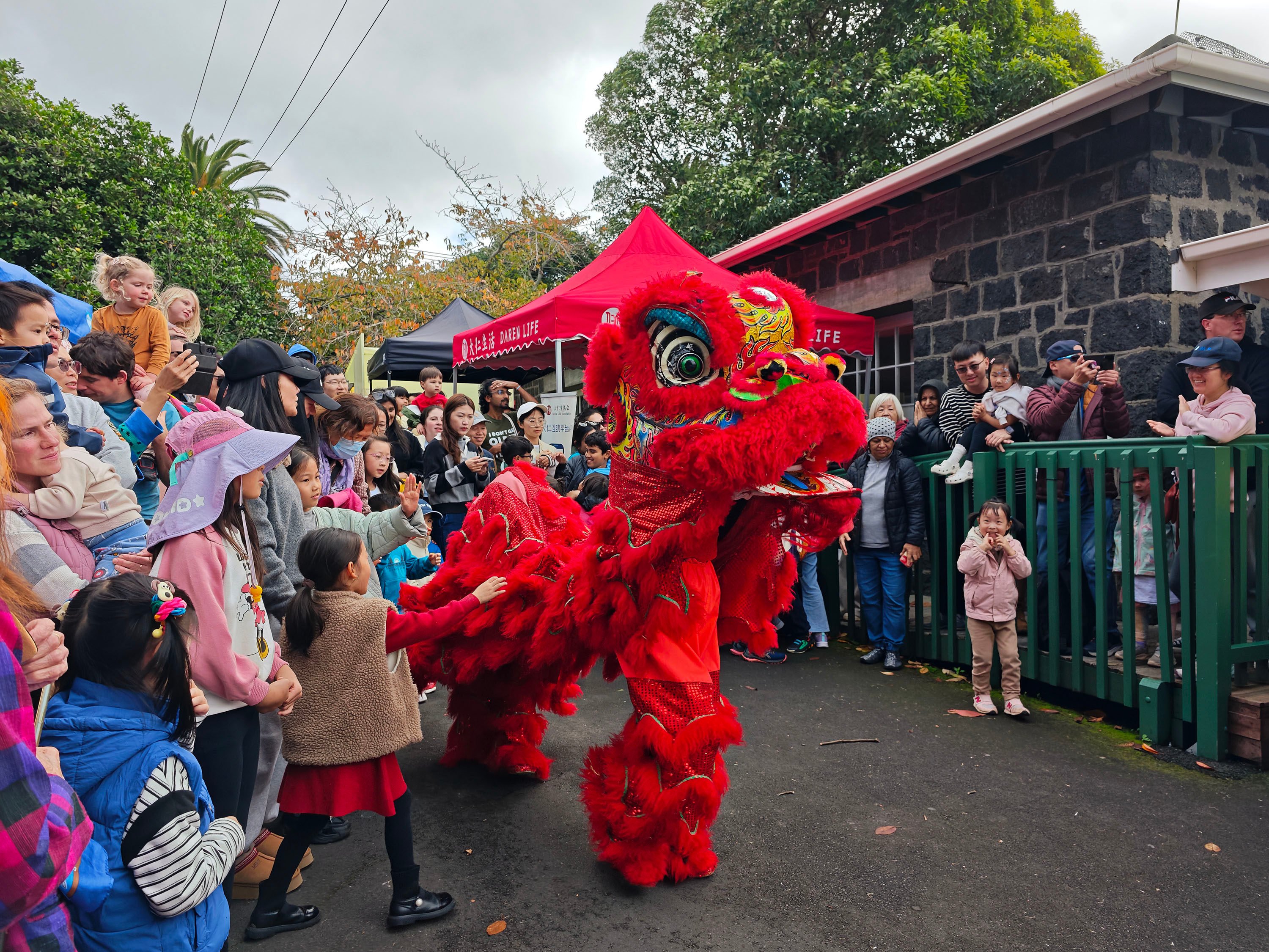 People watch a lion dance during an event celebrating Dragon Boat Festival in Auckland, New Zealand, last month. Photo: Xinhua