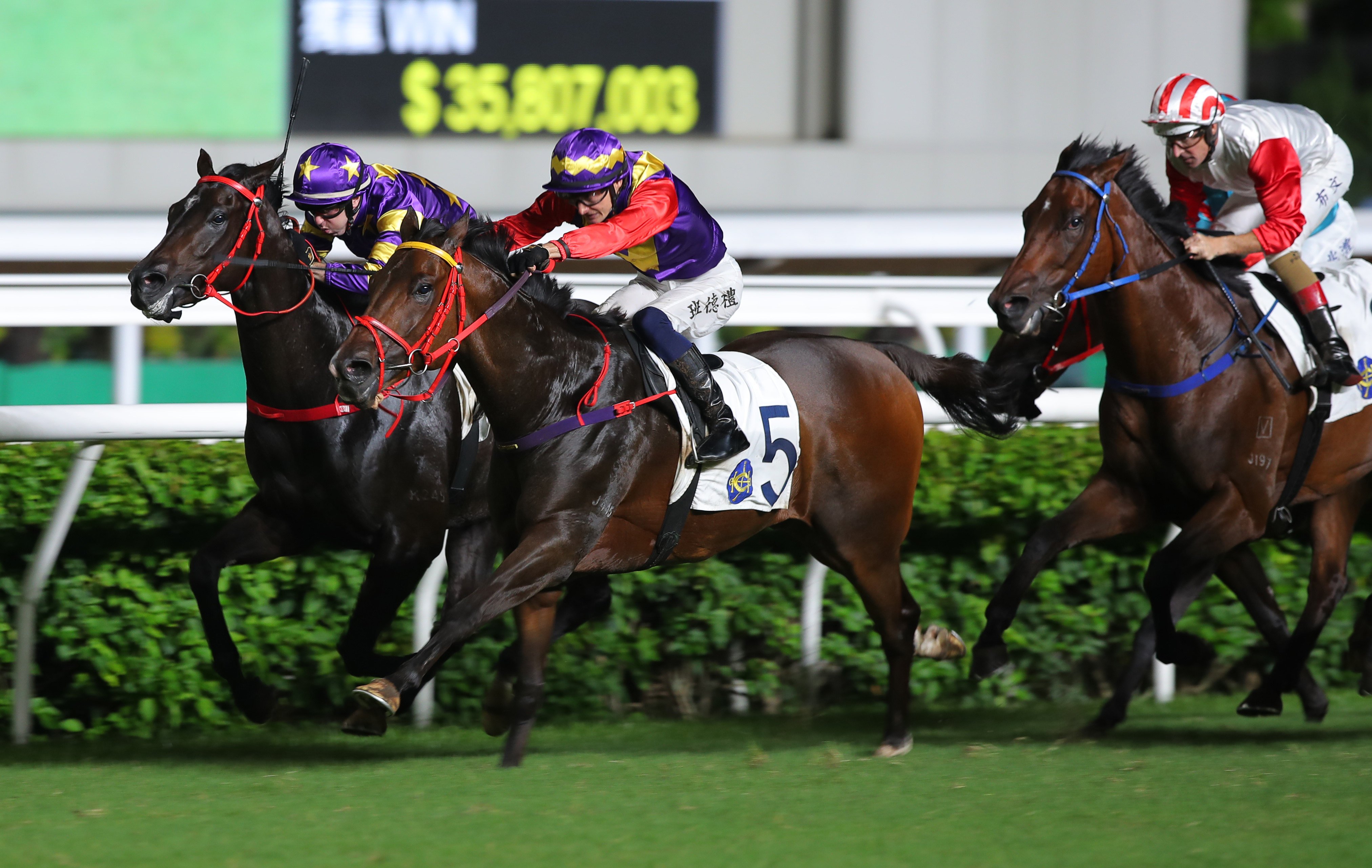 Harry Bentley drives Flying Fortress to victory in Sunday night’s Sha Tin finale. Photo: Kenneth Chan