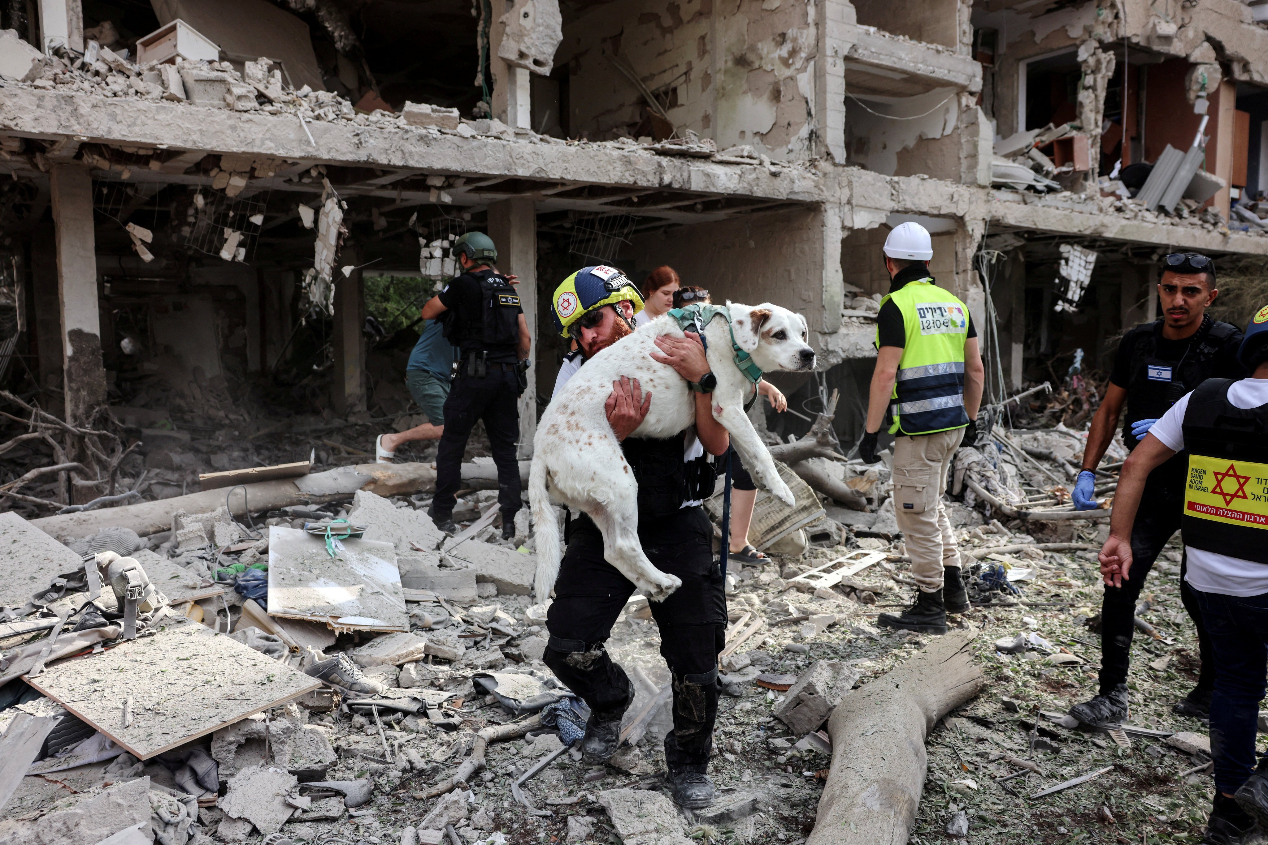 A rescuer carries a dog out of the wreckage after an Iranian missile attack on Tel Aviv in Israel on the weekend. Photo: Reuters