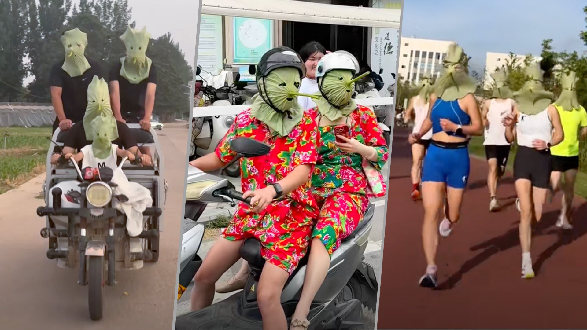 Young people in China are making full-face sun protection masks from giant lotus leaves, sparking much online hilarity. Photo: SCMP composite/Douyin