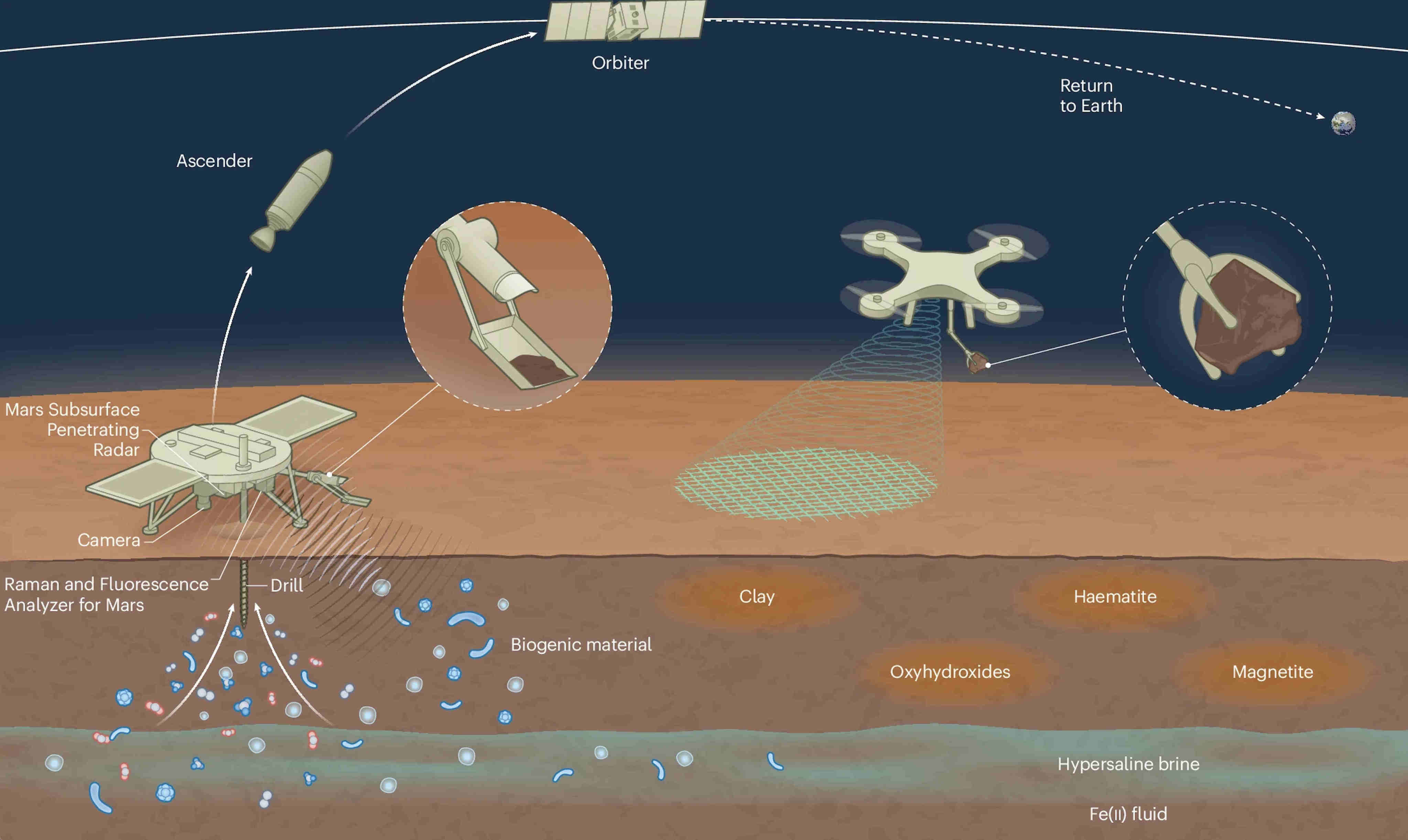 In the Tianwen-3 mission the lander is expected to carry drilling and scooping tools for biosignature analysis, while the uncrewed drone collects rocks from over 100 metres away. Photo: Handout