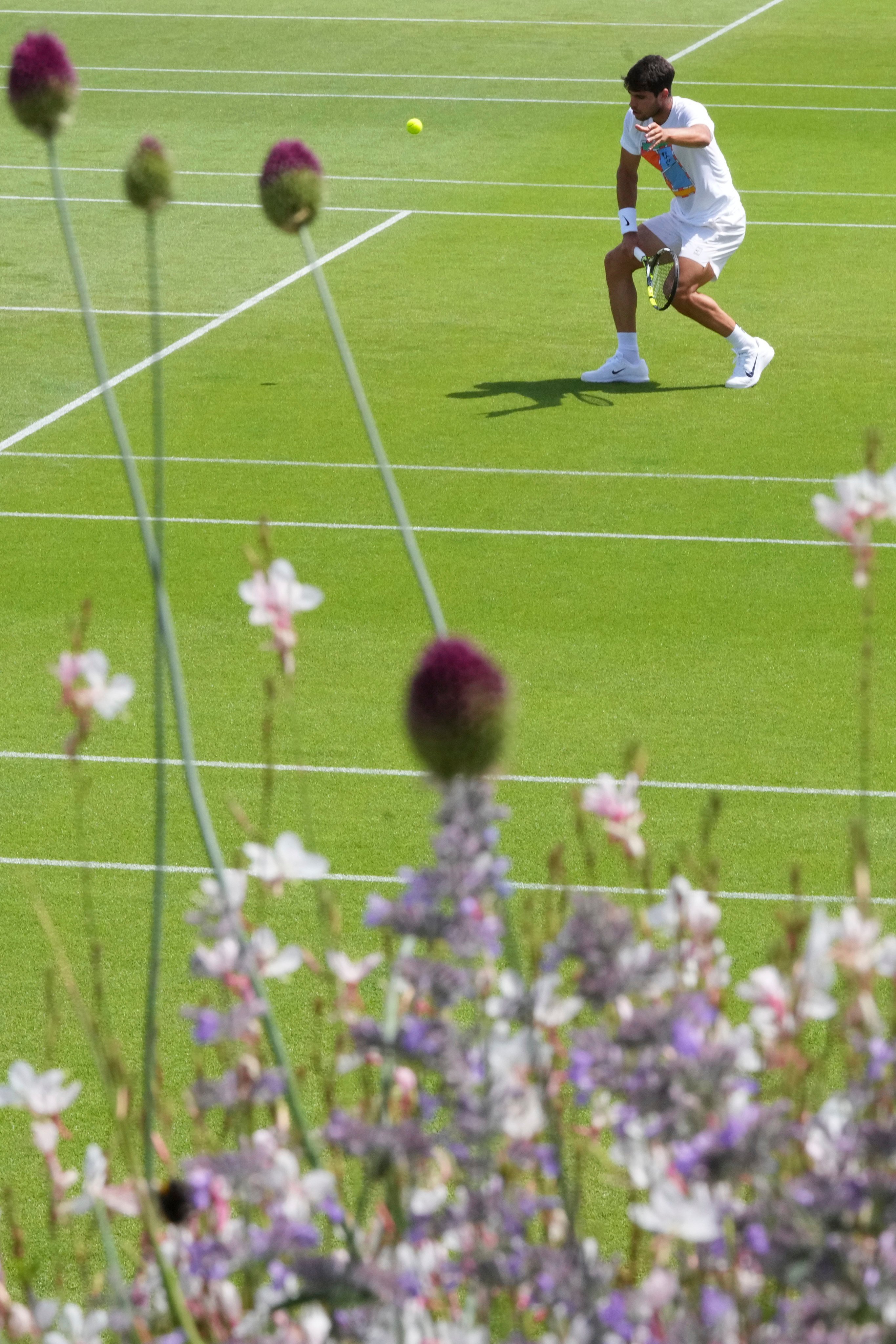 Carlos Alcaraz, seen here training ahead of the Wimbledon Championships, has reached five consecutive finals and lost just one match since April. Photo: AP